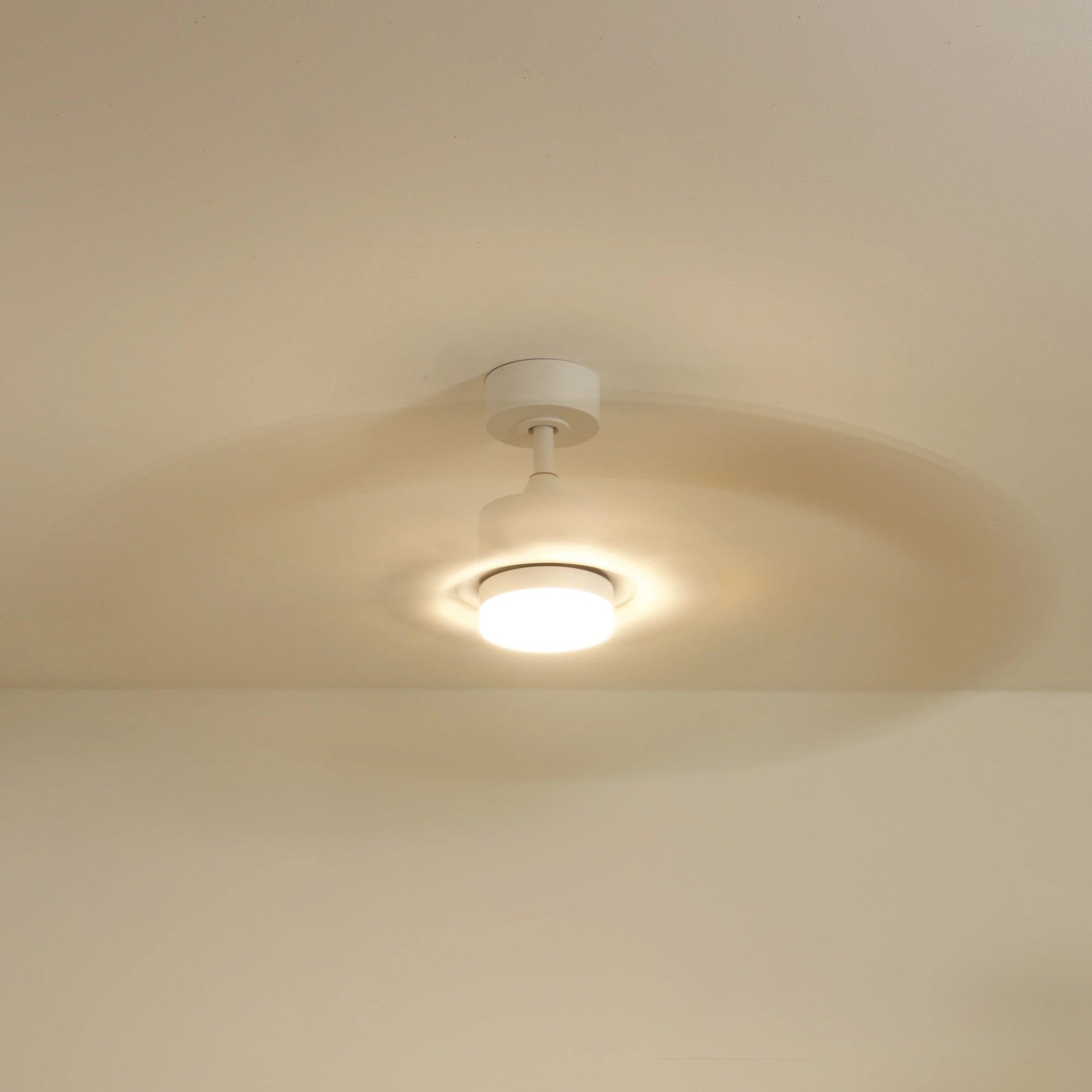 Colibri | Ventilateur de plafond