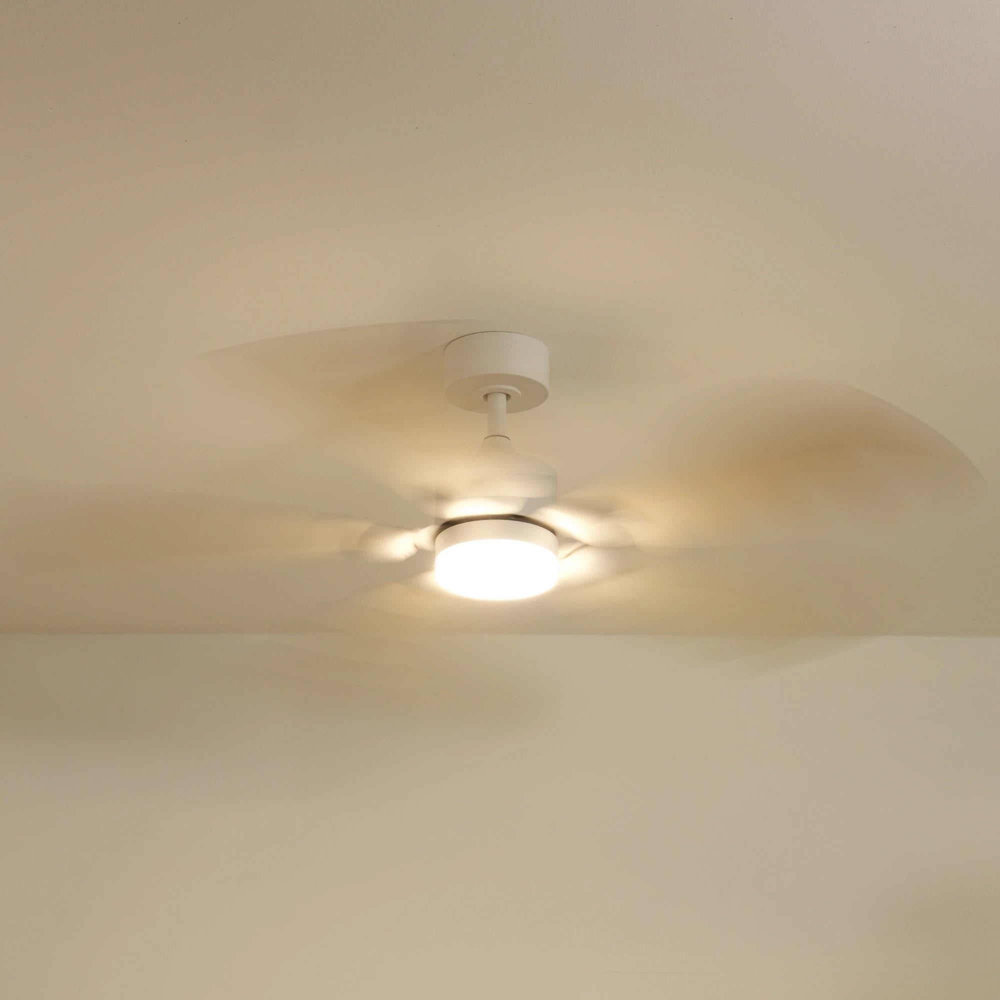 Plume | Ventilateur de plafond