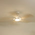 Plume | Ventilateur de plafond