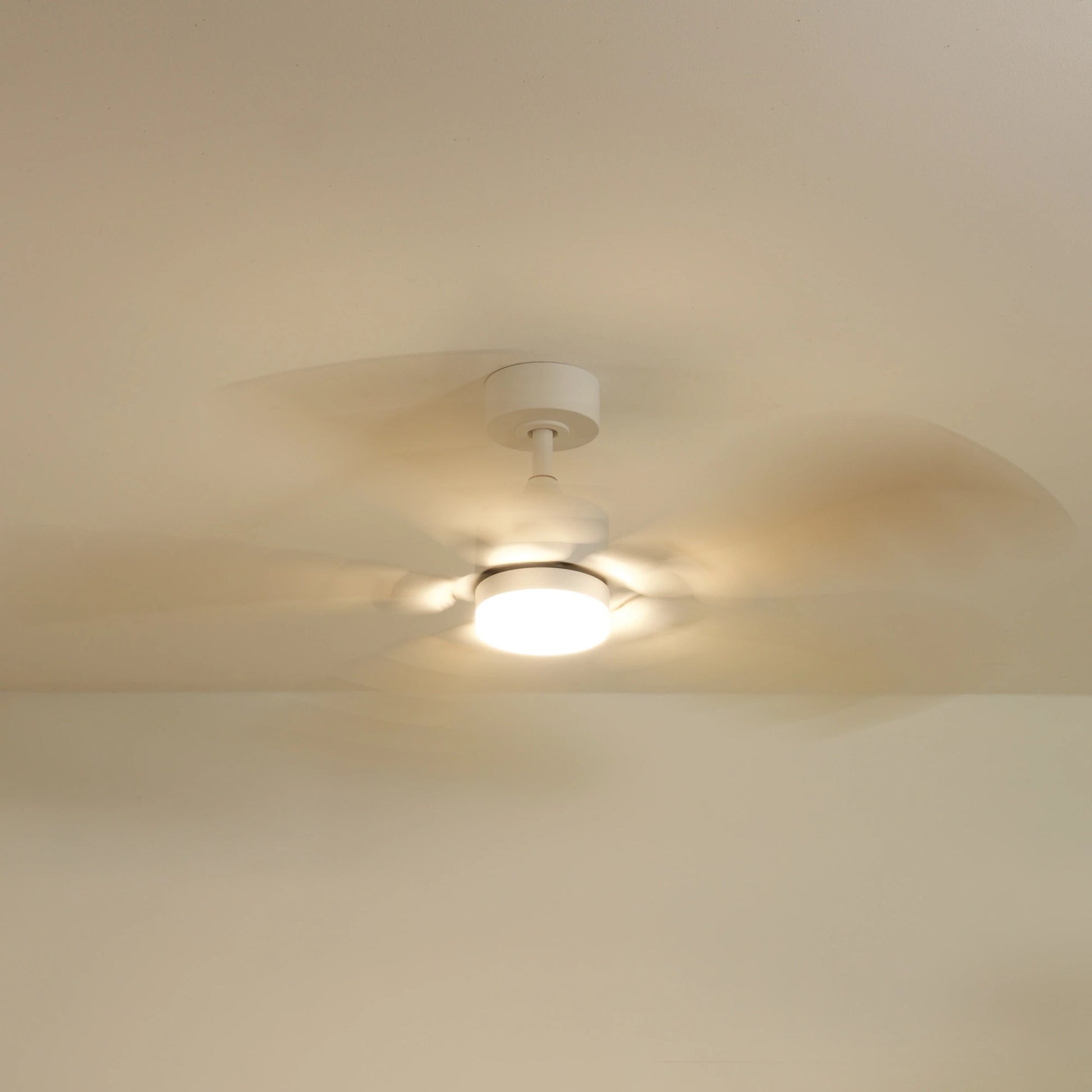 Plume | Ventilateur de plafond