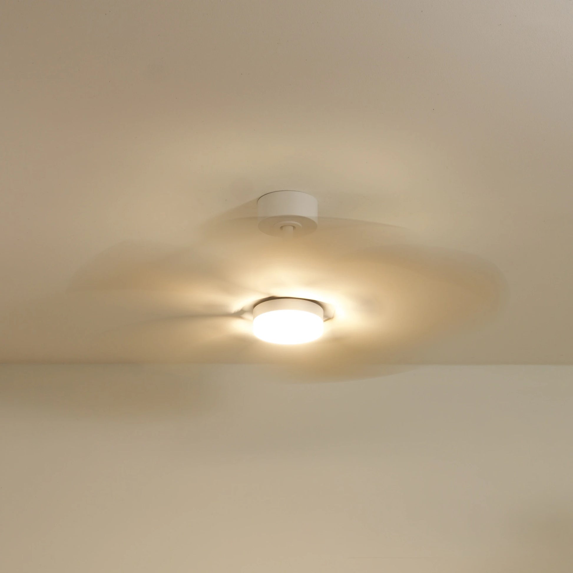 Dahlia | Ventilateur de plafond