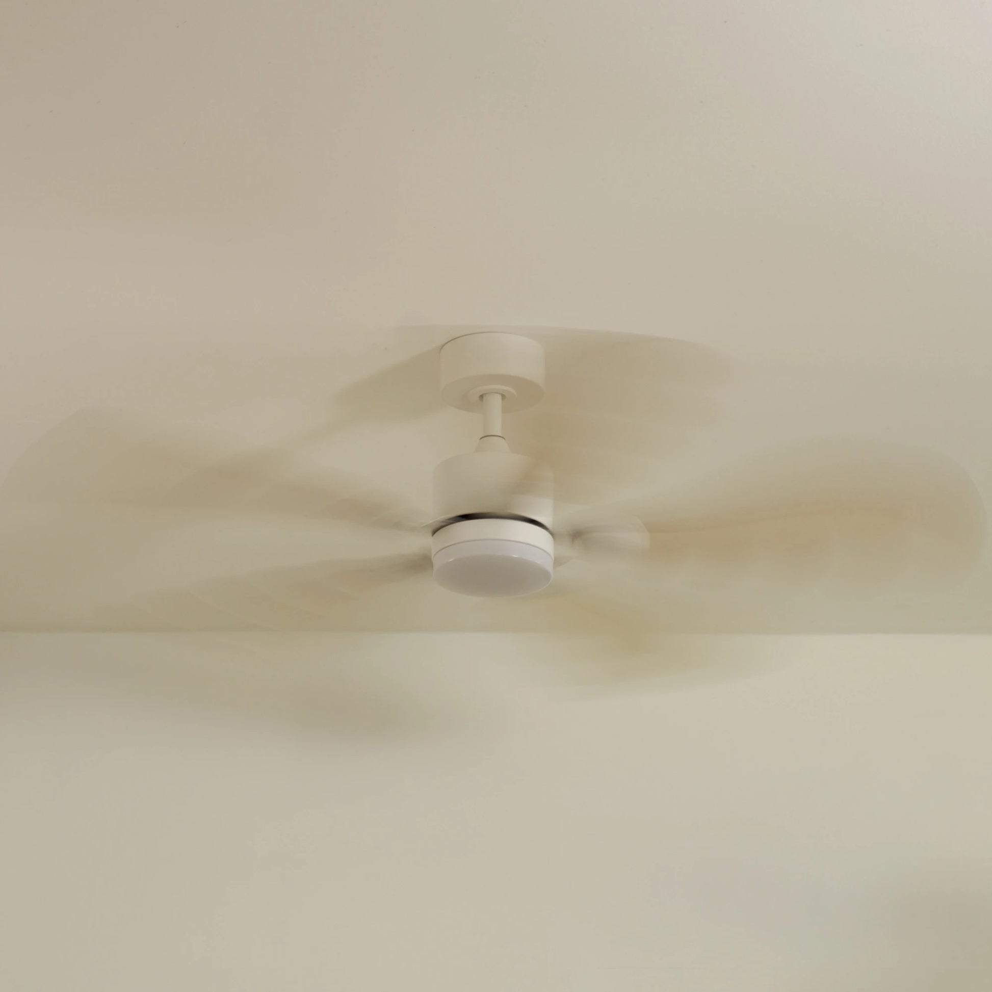 Plume | Ventilateur de plafond