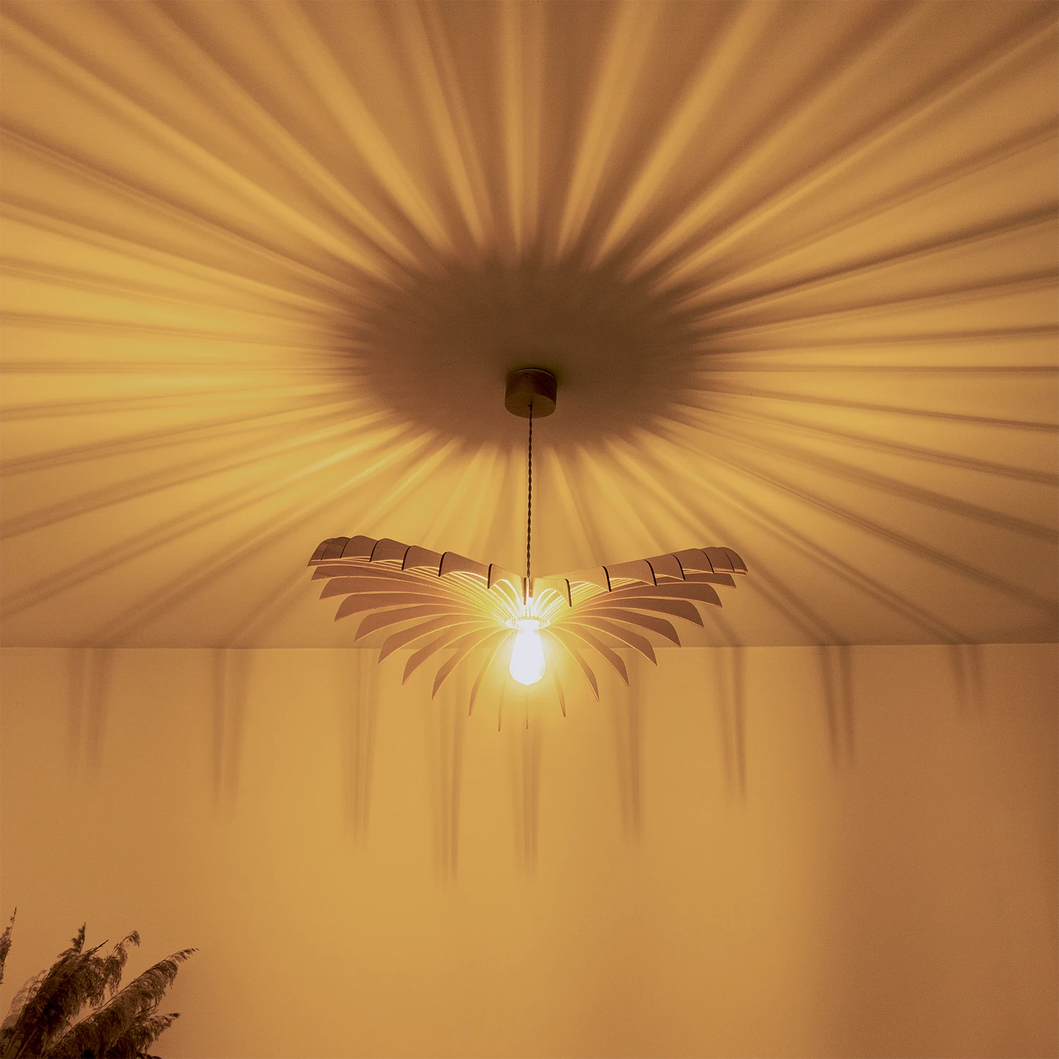 Aigle | Suspension
