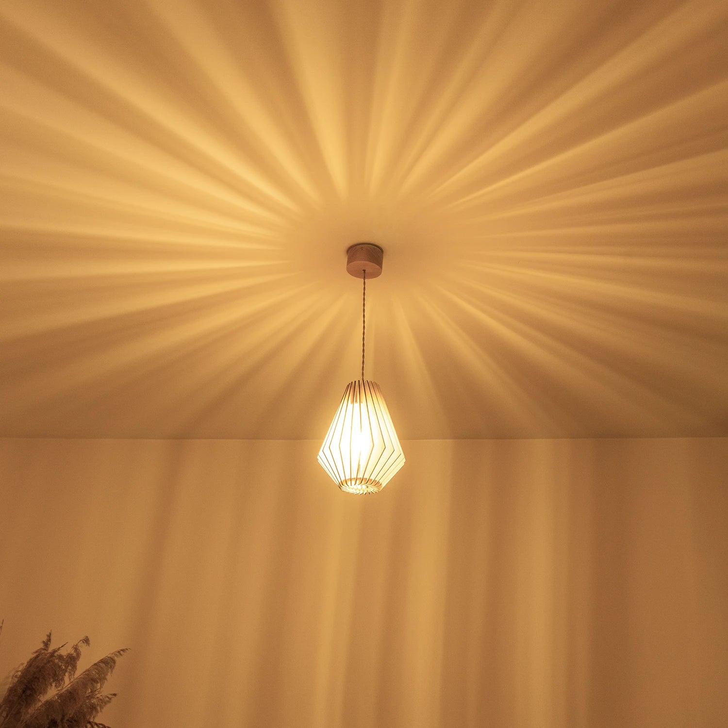 Ambre | Suspension