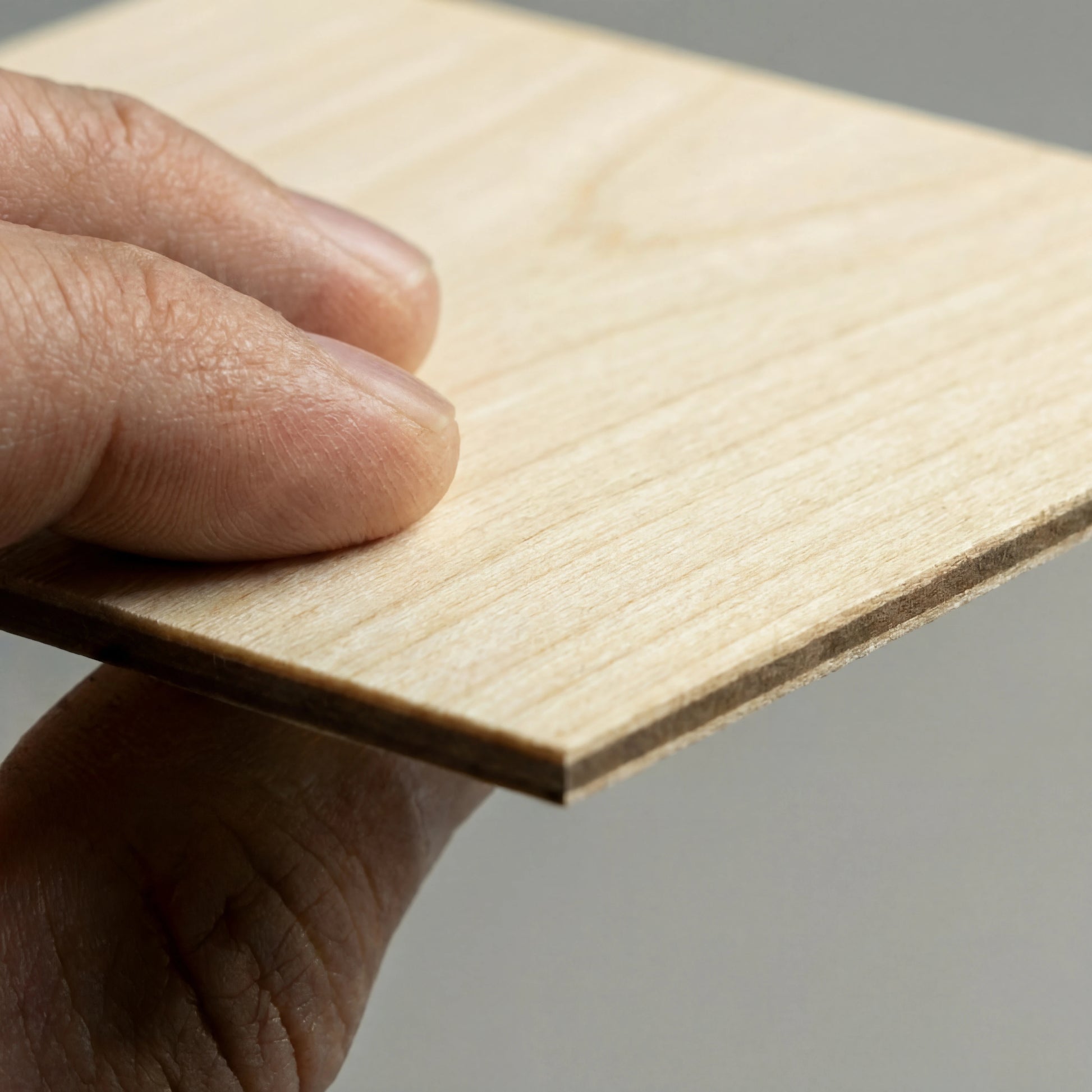 Albatros | Suspension