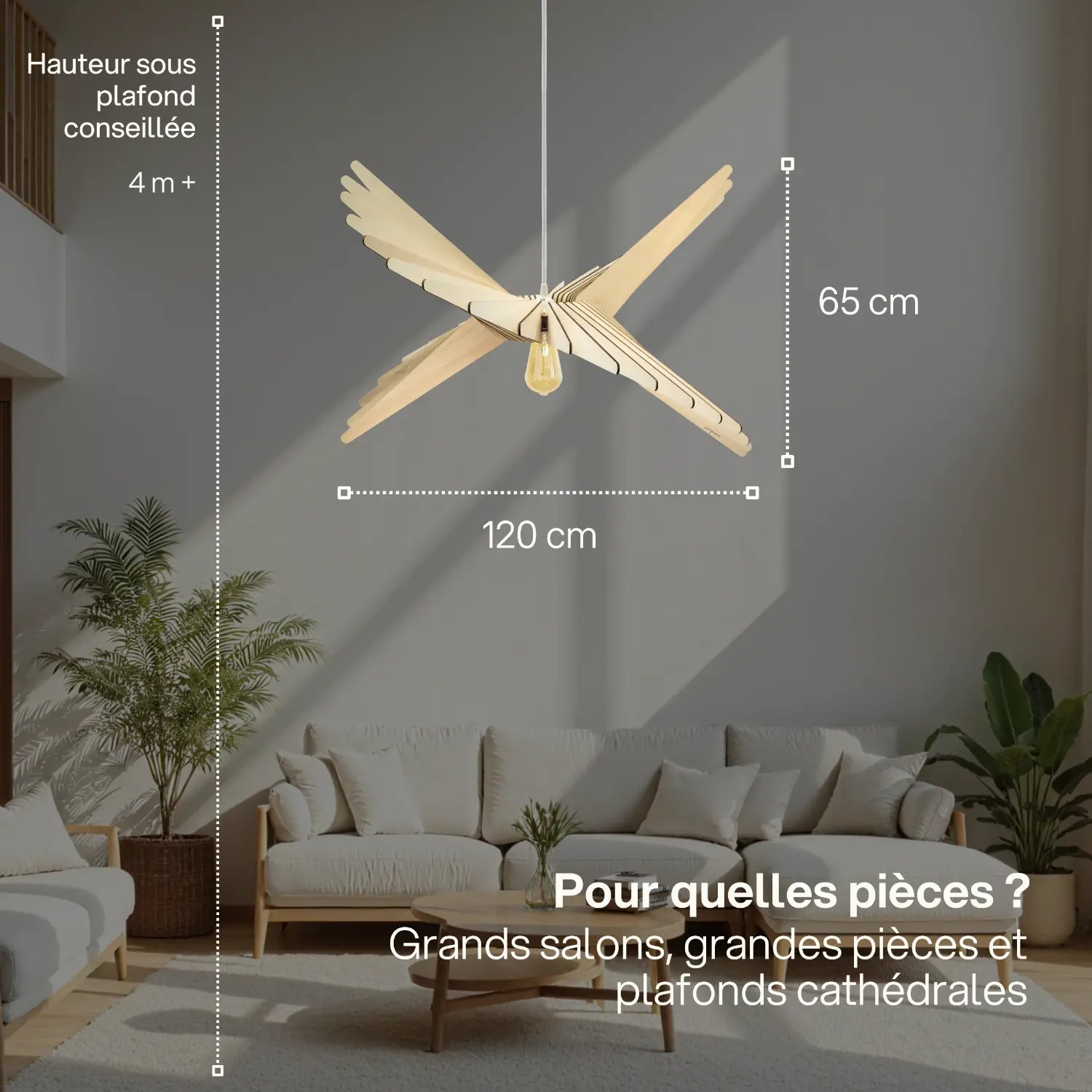 Albatros | Suspension
