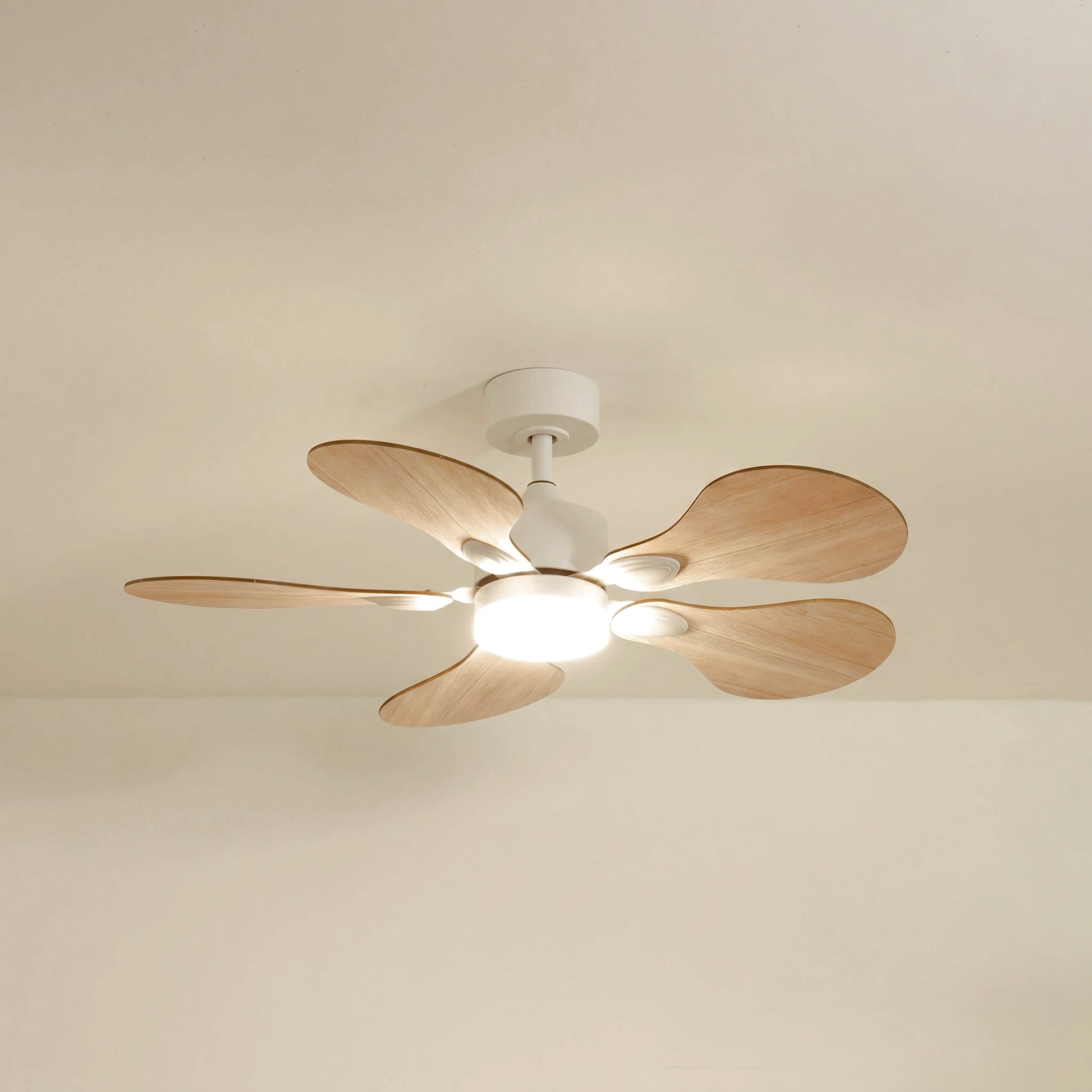 Anémone teinté Chêne | Ventilateur de plafond