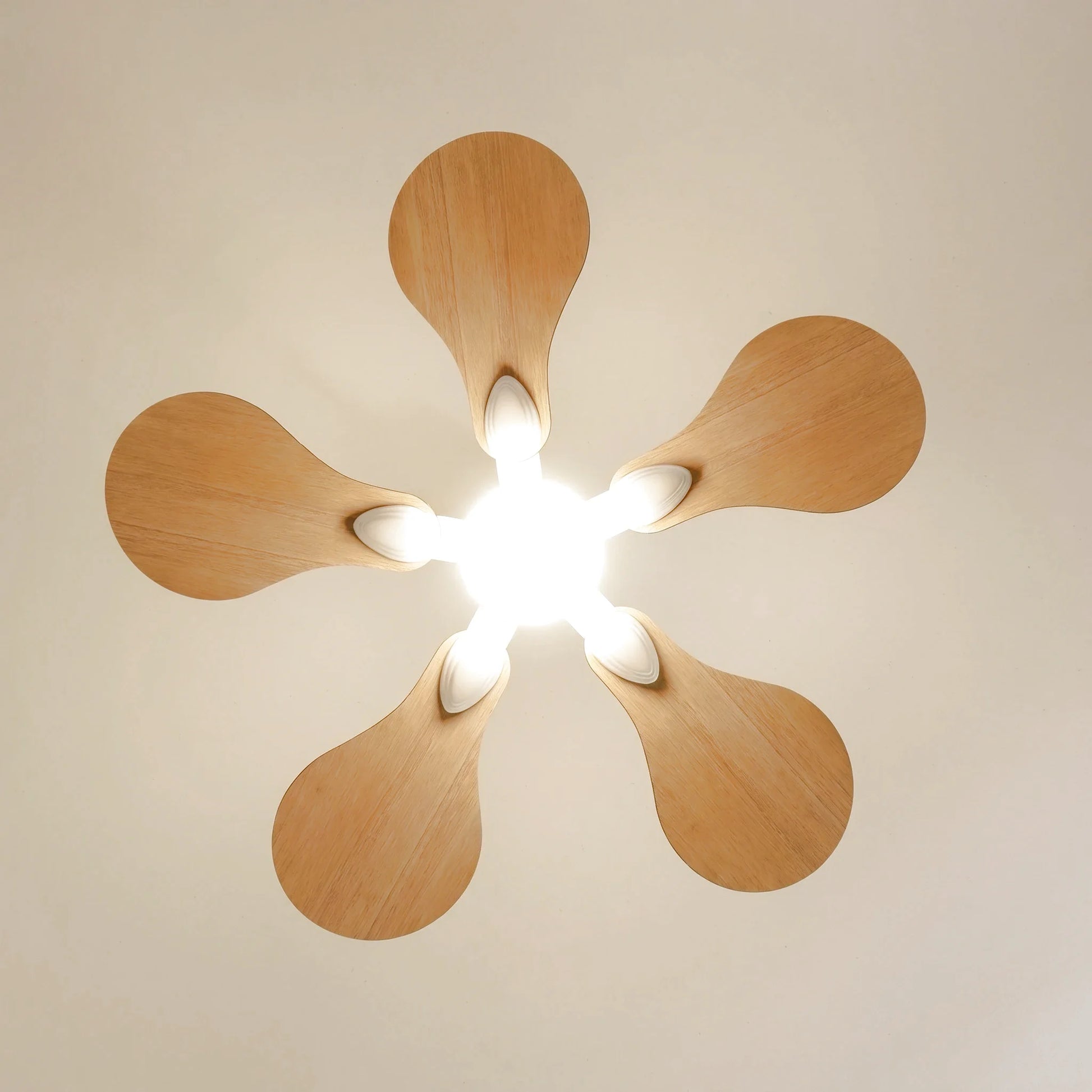 Anémone teinté Chêne | Ventilateur de plafond