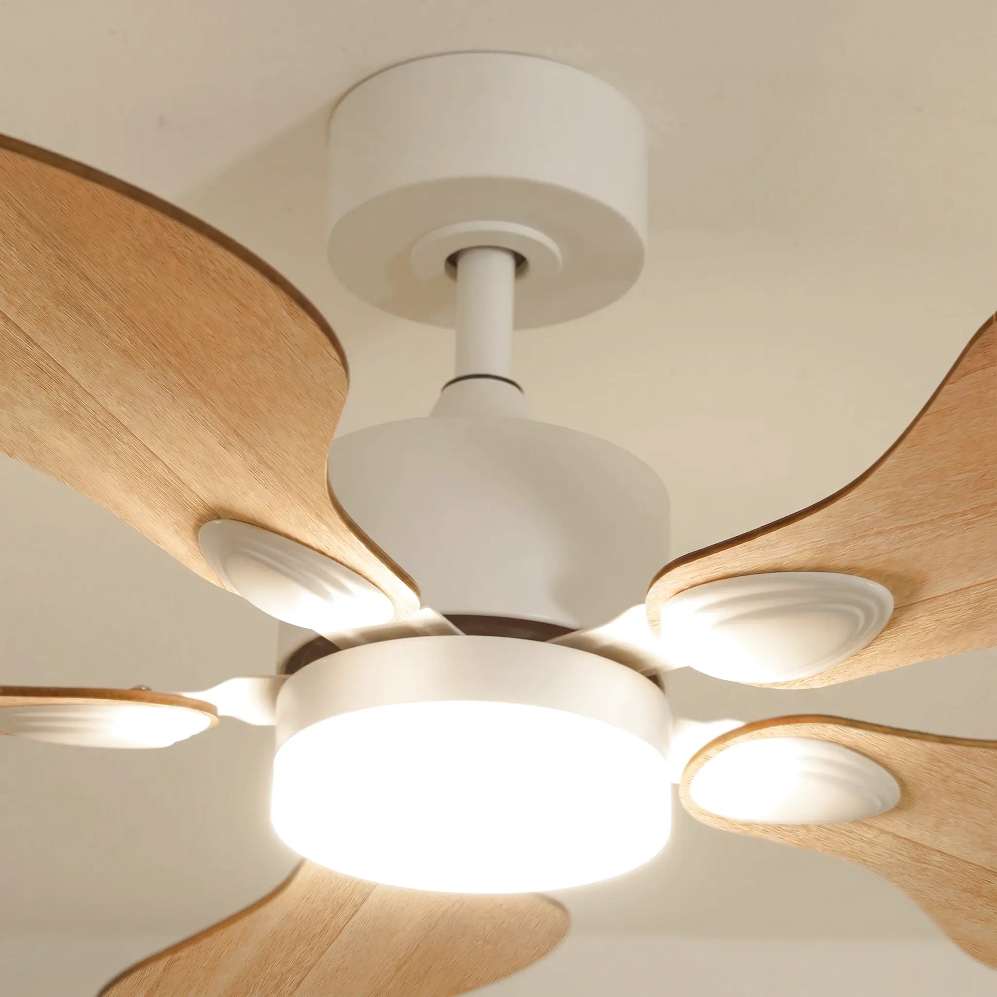 Anémone teinté Chêne | Ventilateur de plafond
