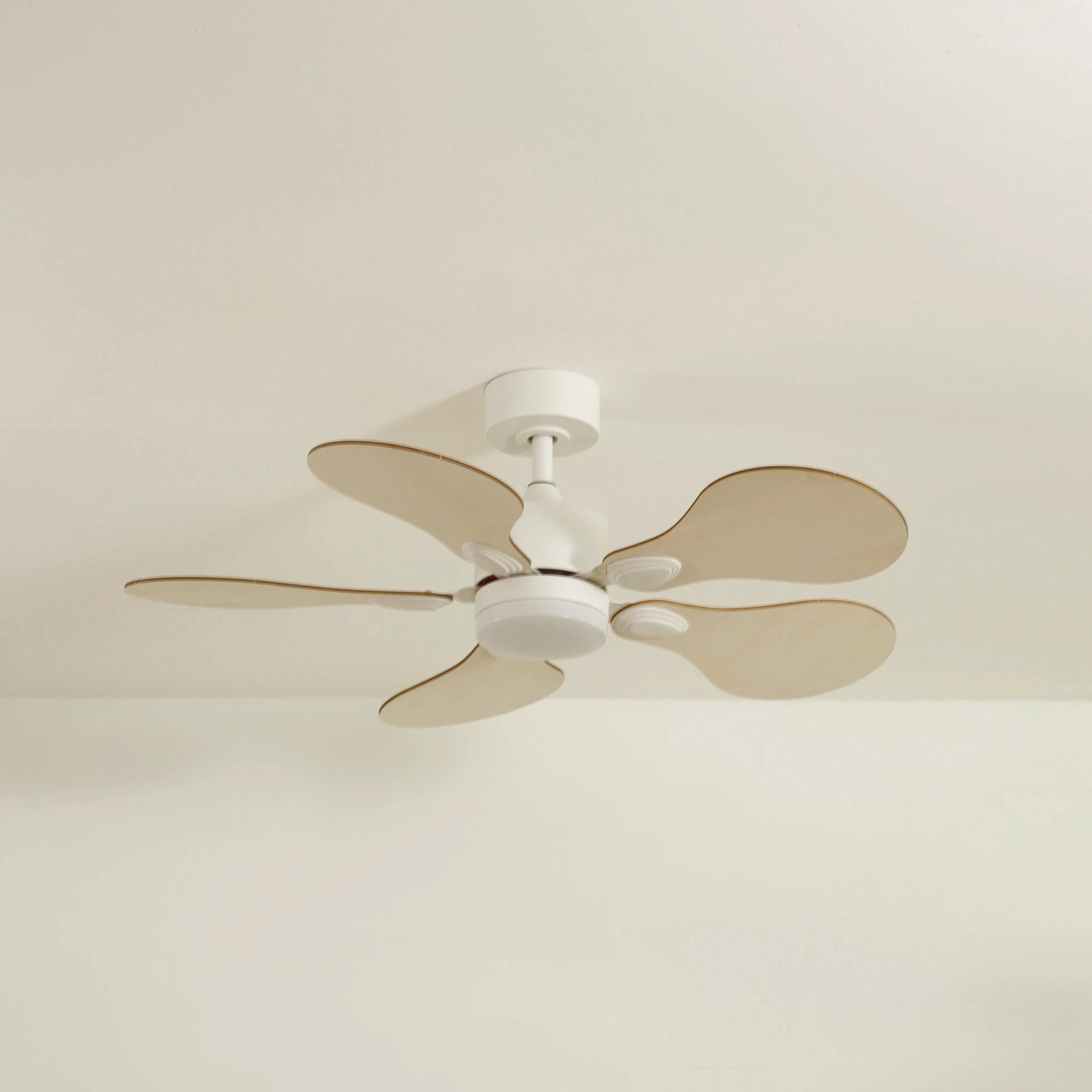 Anémone | Ventilateur de plafond