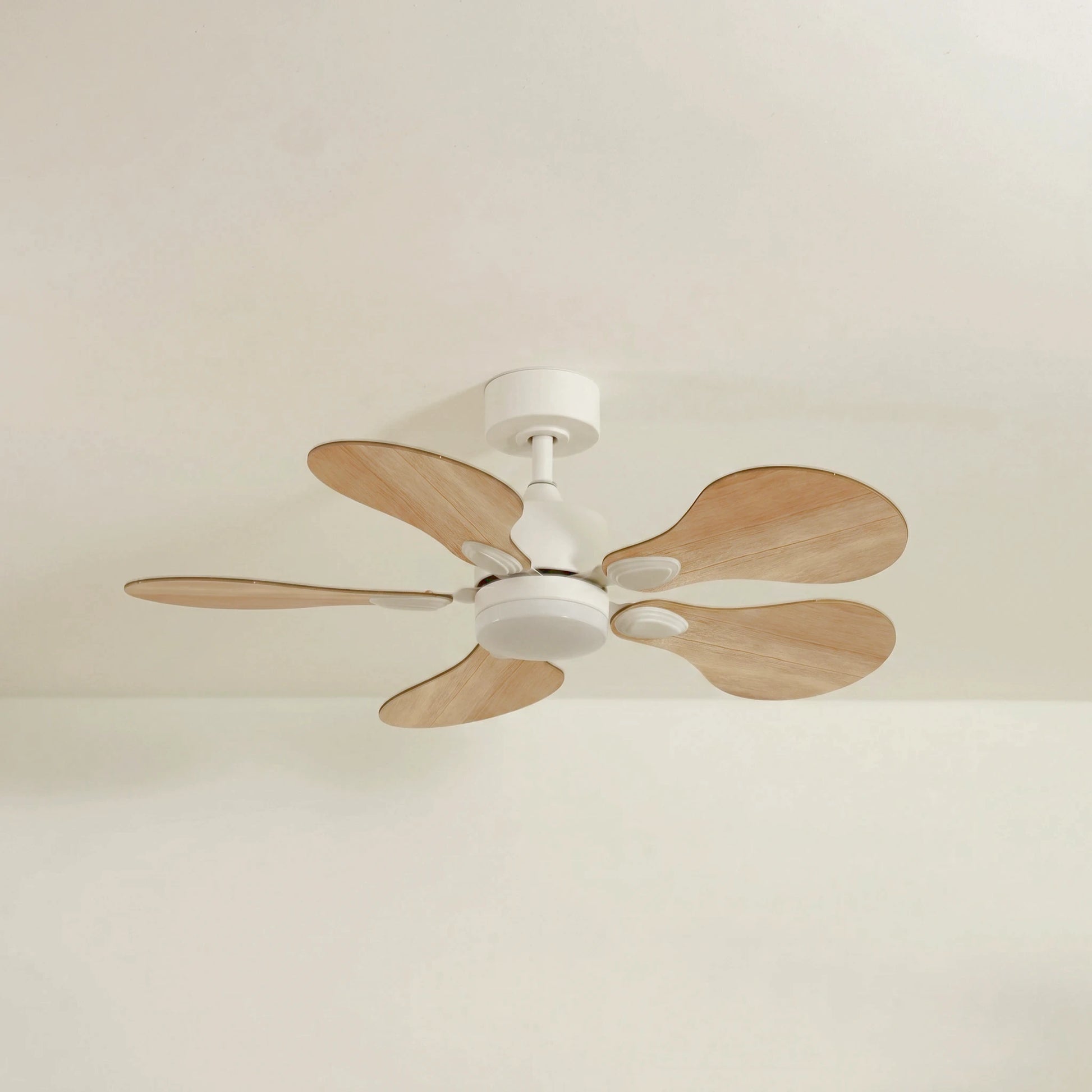 Anémone teinté Chêne | Ventilateur de plafond