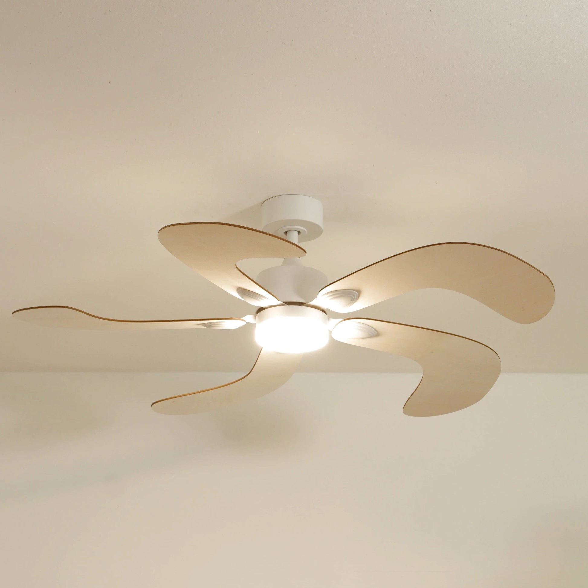 Colibri | Ventilateur de plafond