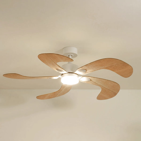 Colibri ventilateur de plafond
