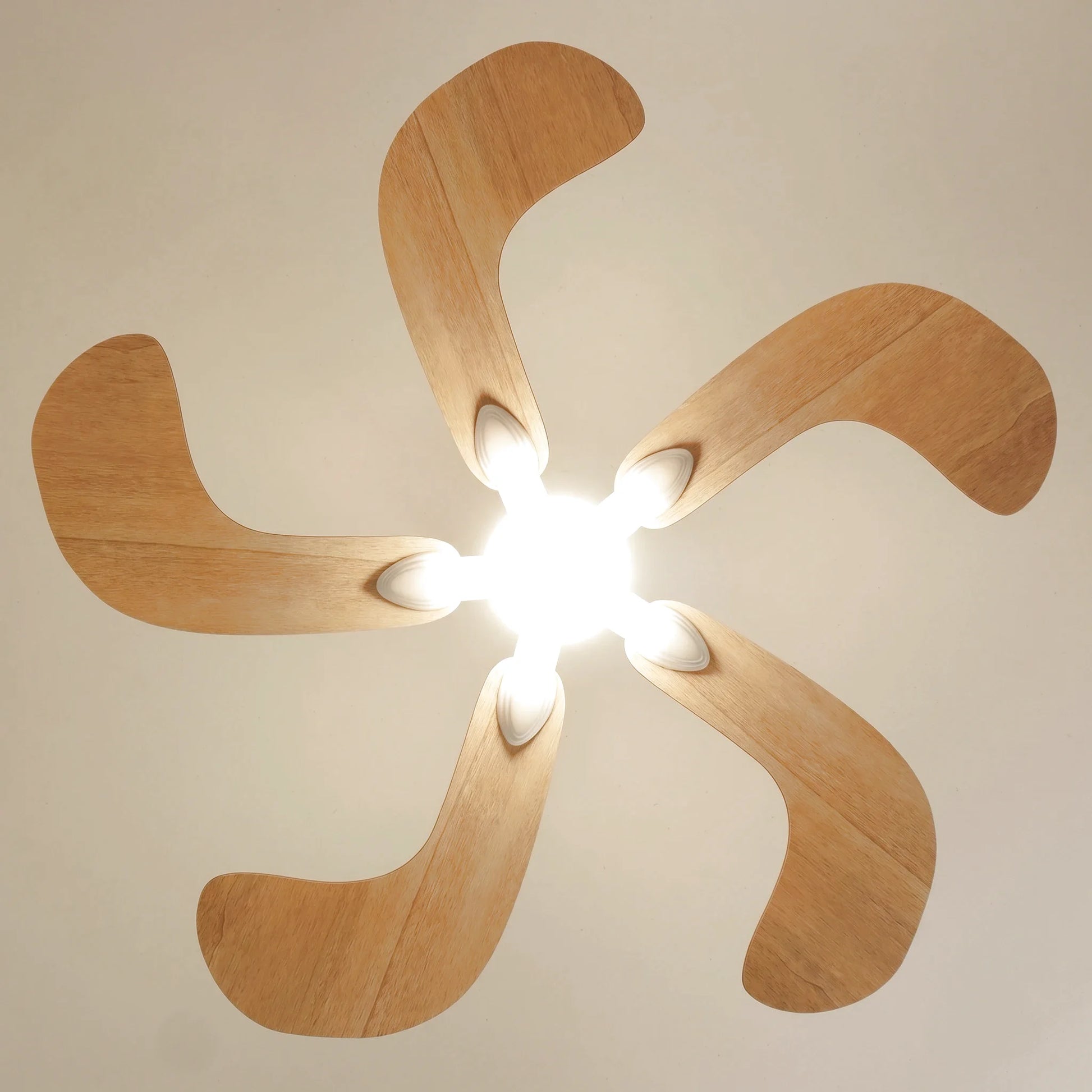 Colibri teinté Chêne | Ventilateur de plafond