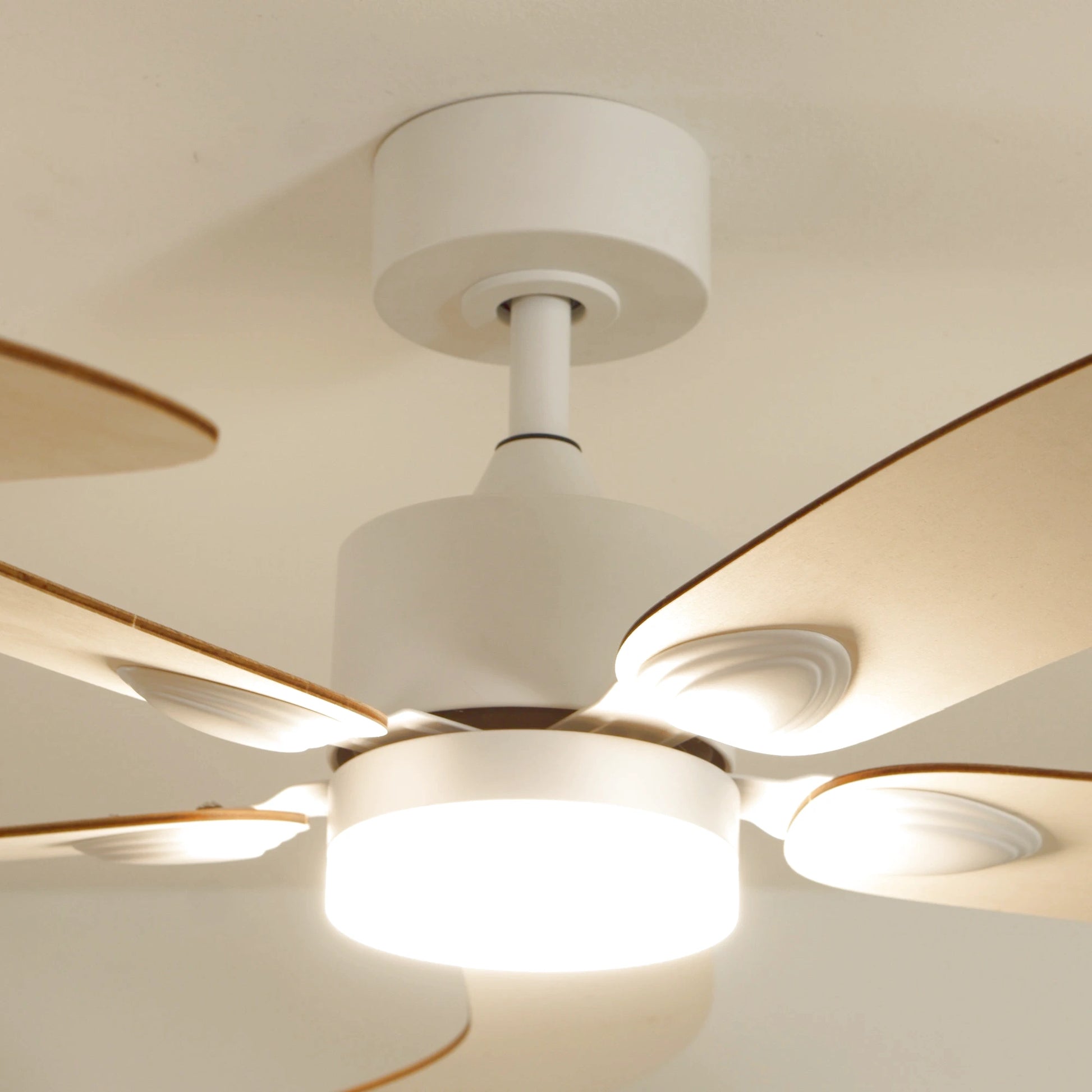 Colibri | Ventilateur de plafond