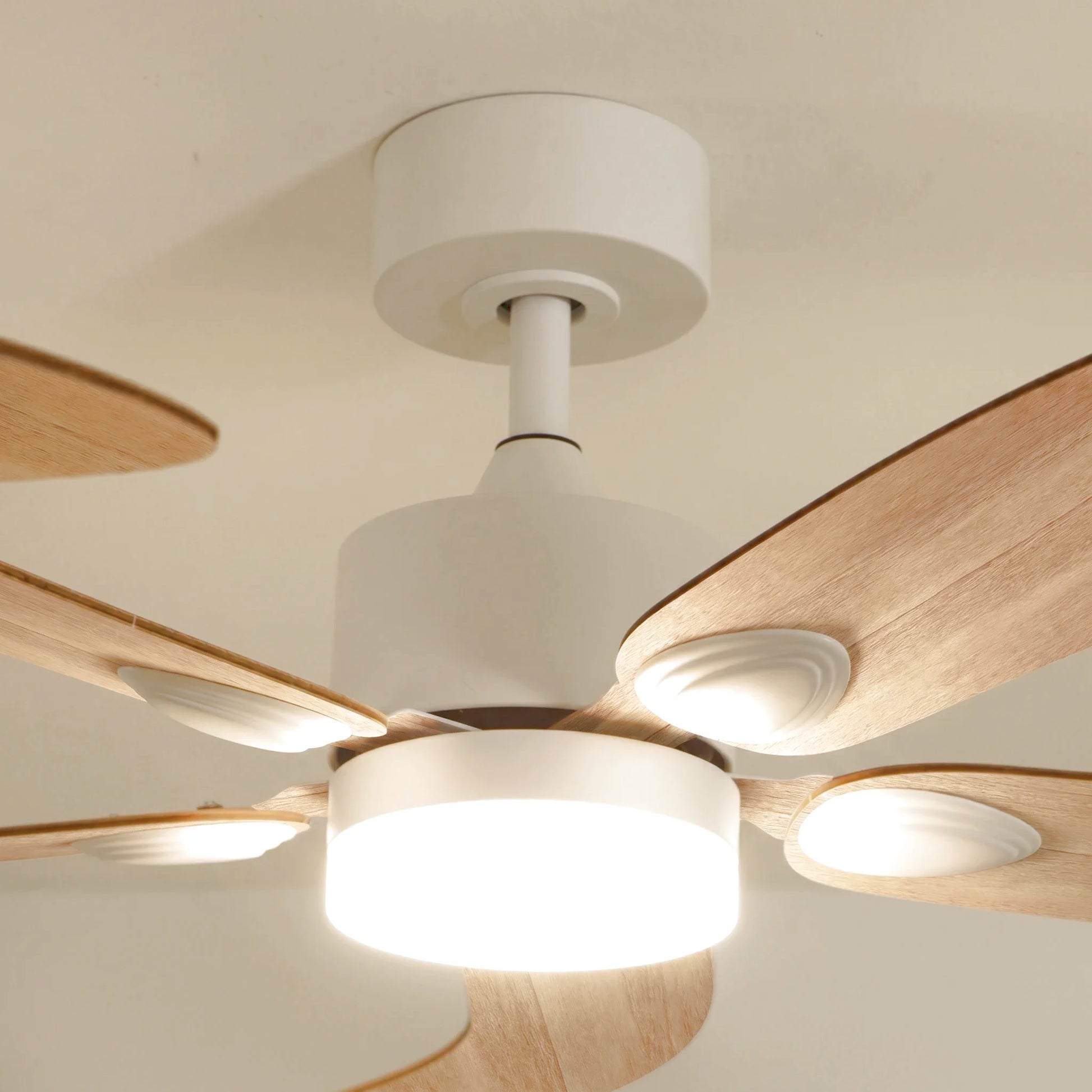 Colibri teinté Chêne | Ventilateur de plafond
