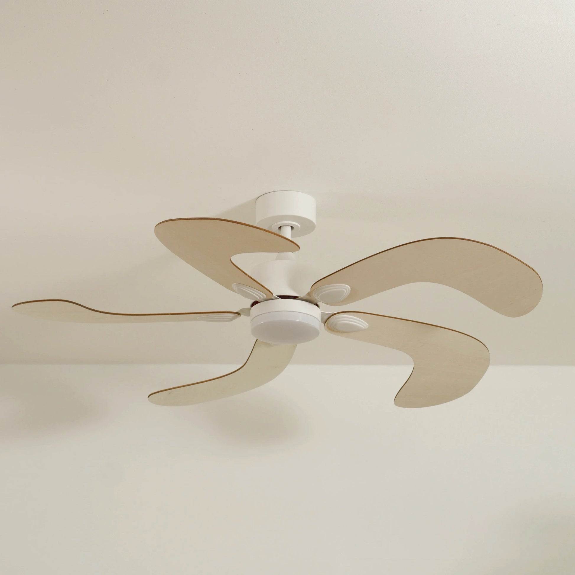Colibri | Ventilateur de plafond