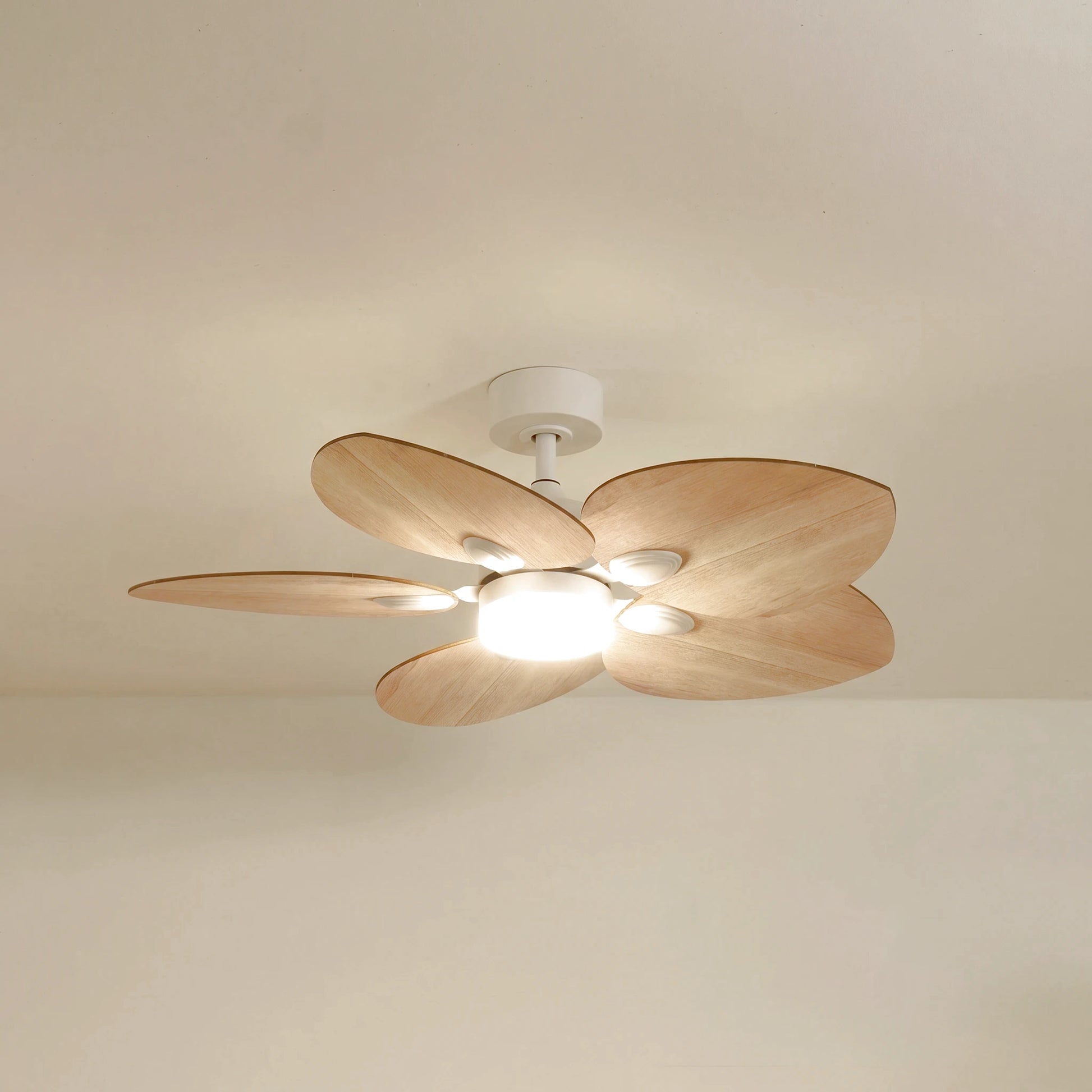 Dahlia teinté Chêne | Ventilateur de plafond