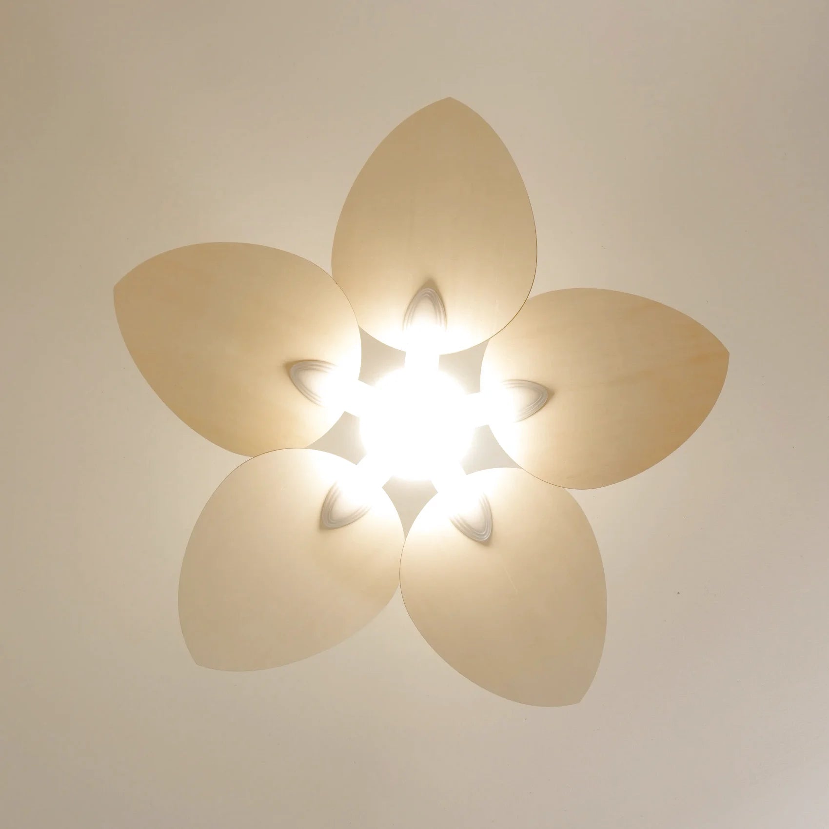 Dahlia | Ventilateur de plafond