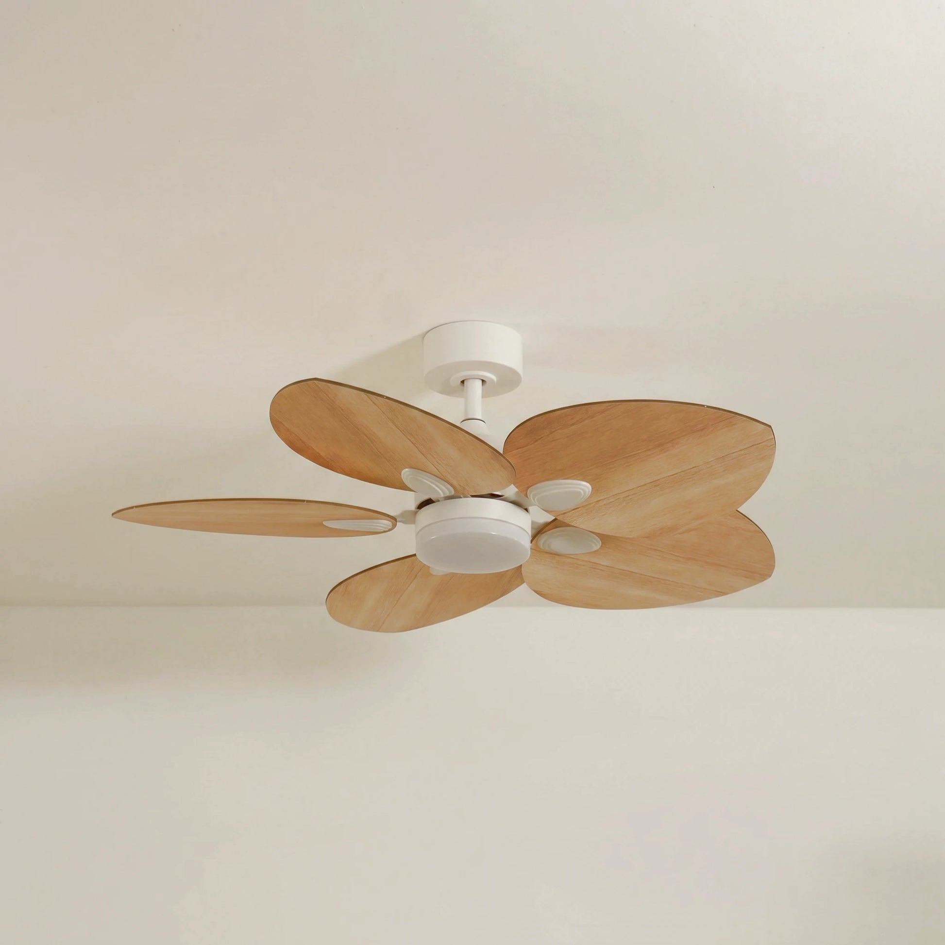 Dahlia teinté Chêne | Ventilateur de plafond
