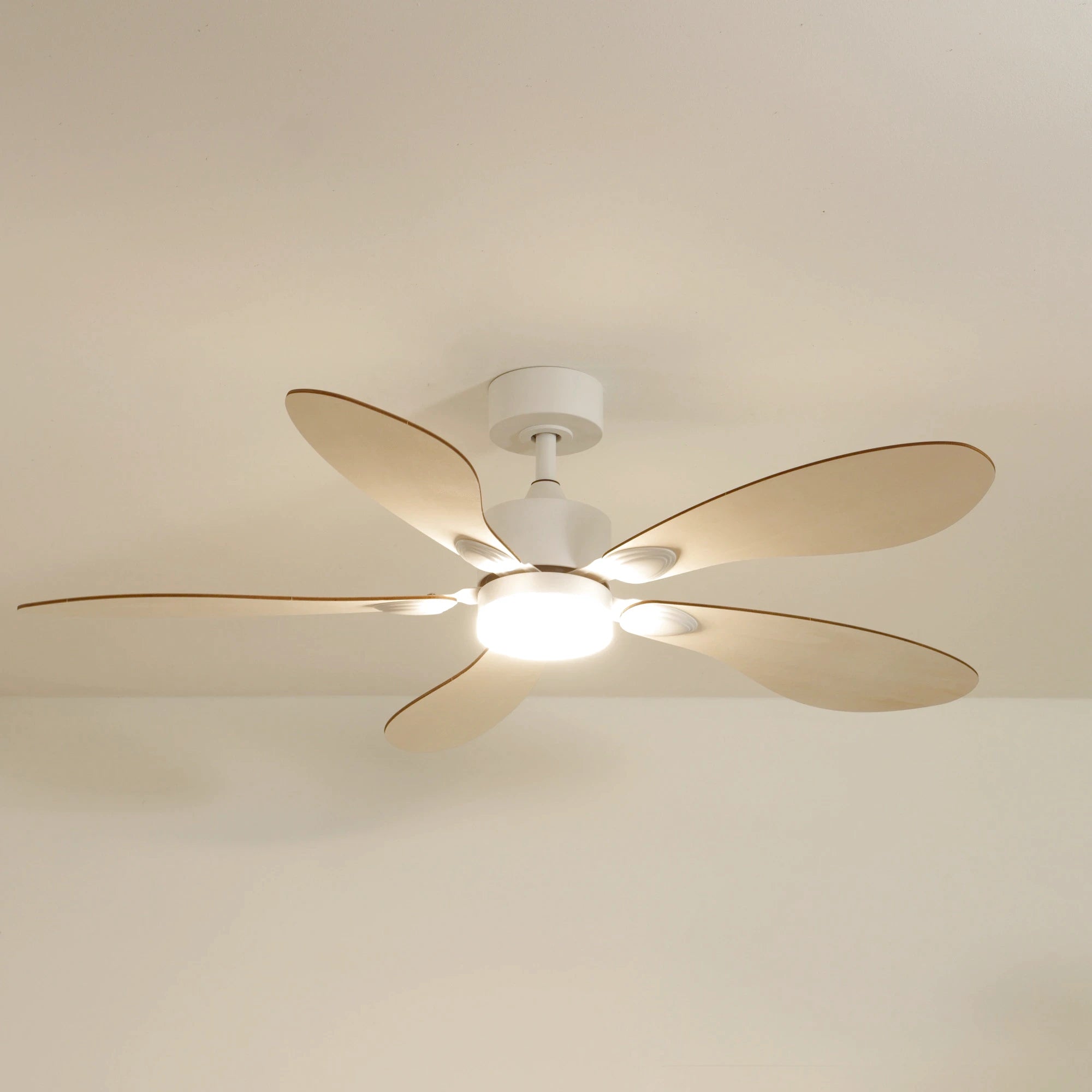 Libellule | Ventilateur de plafond