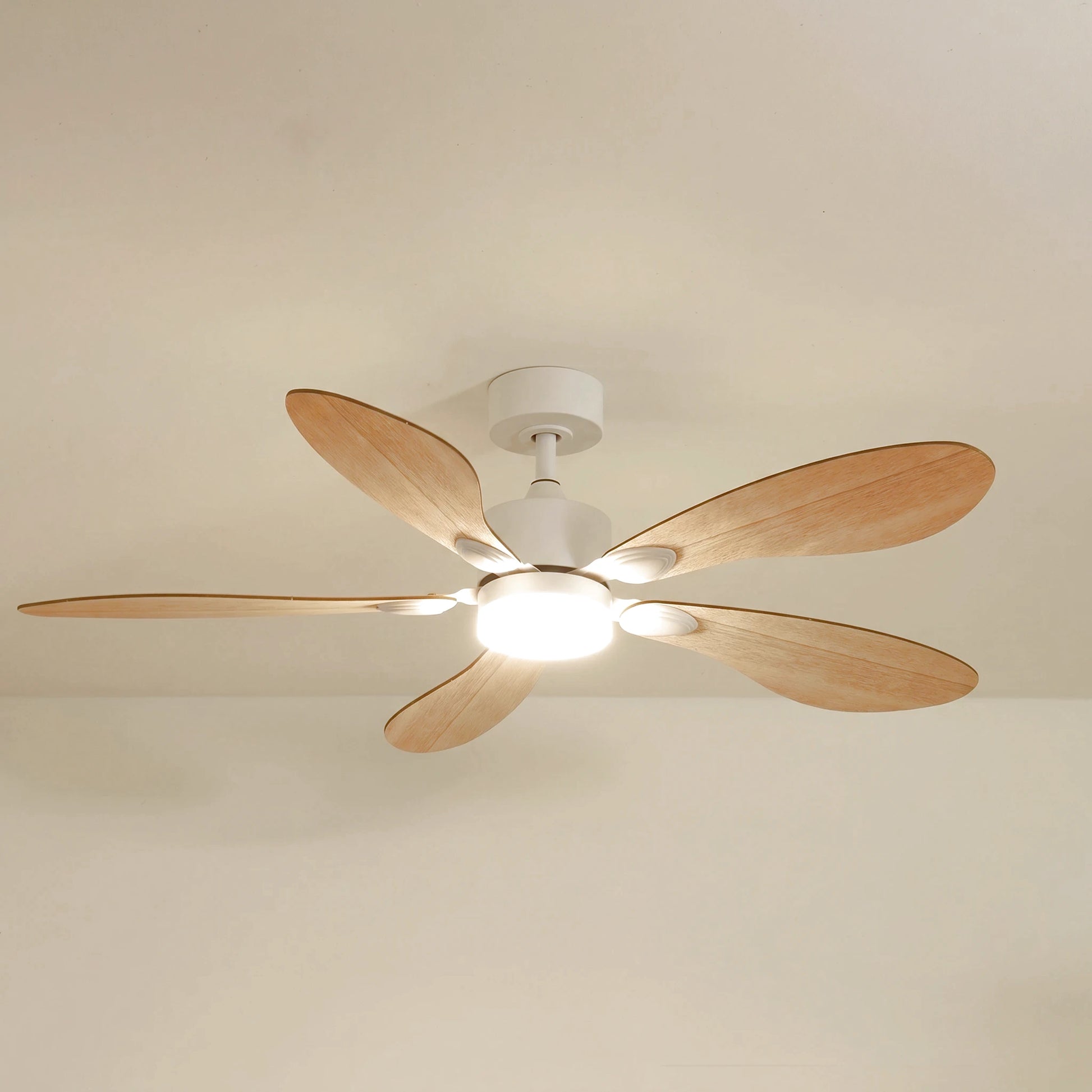 Libellule teinté Chêne | Ventilateur de plafond