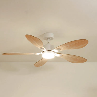 Libellule teinté Chêne | Ventilateur de plafond