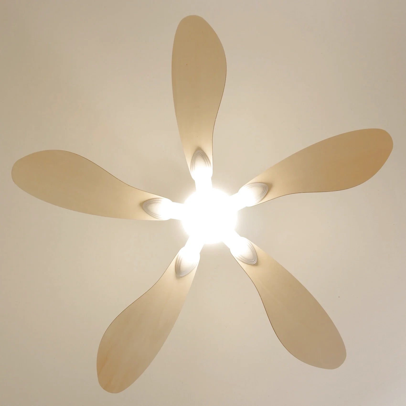 Libellule | Ventilateur de plafond