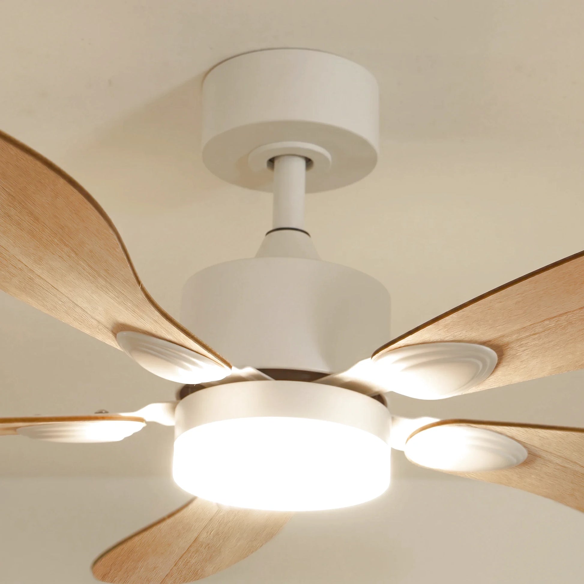 Libellule teinté Chêne | Ventilateur de plafond
