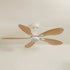 Libellule teinté Chêne | Ventilateur de plafond