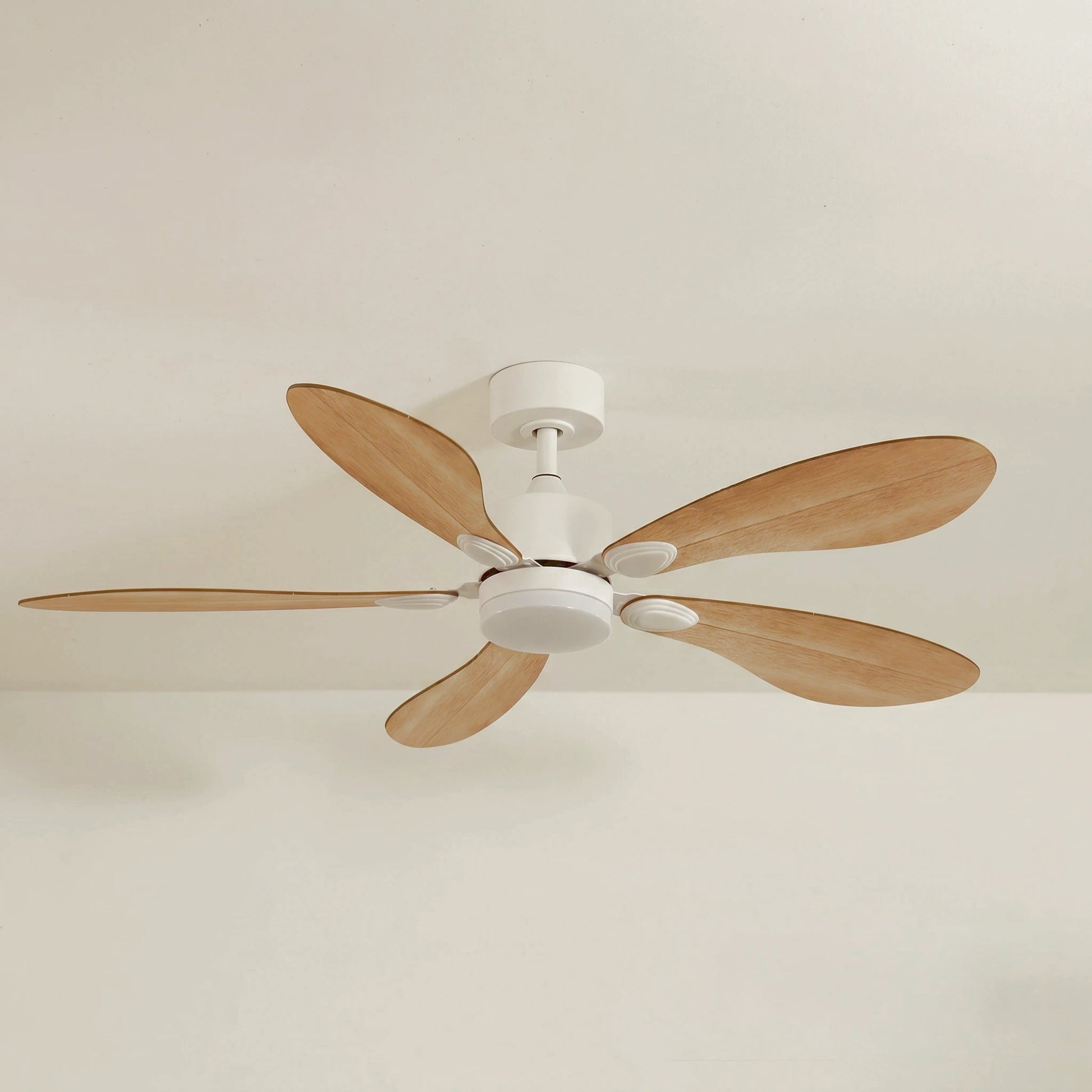 Libellule teinté Chêne | Ventilateur de plafond
