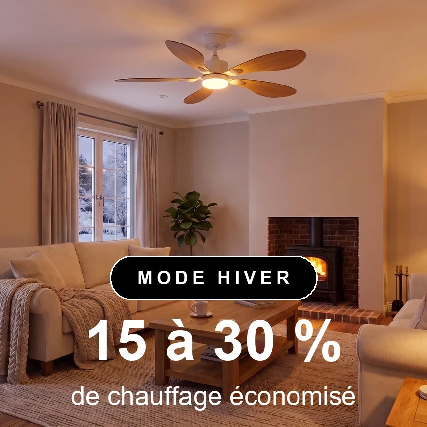 libellule scene hiver