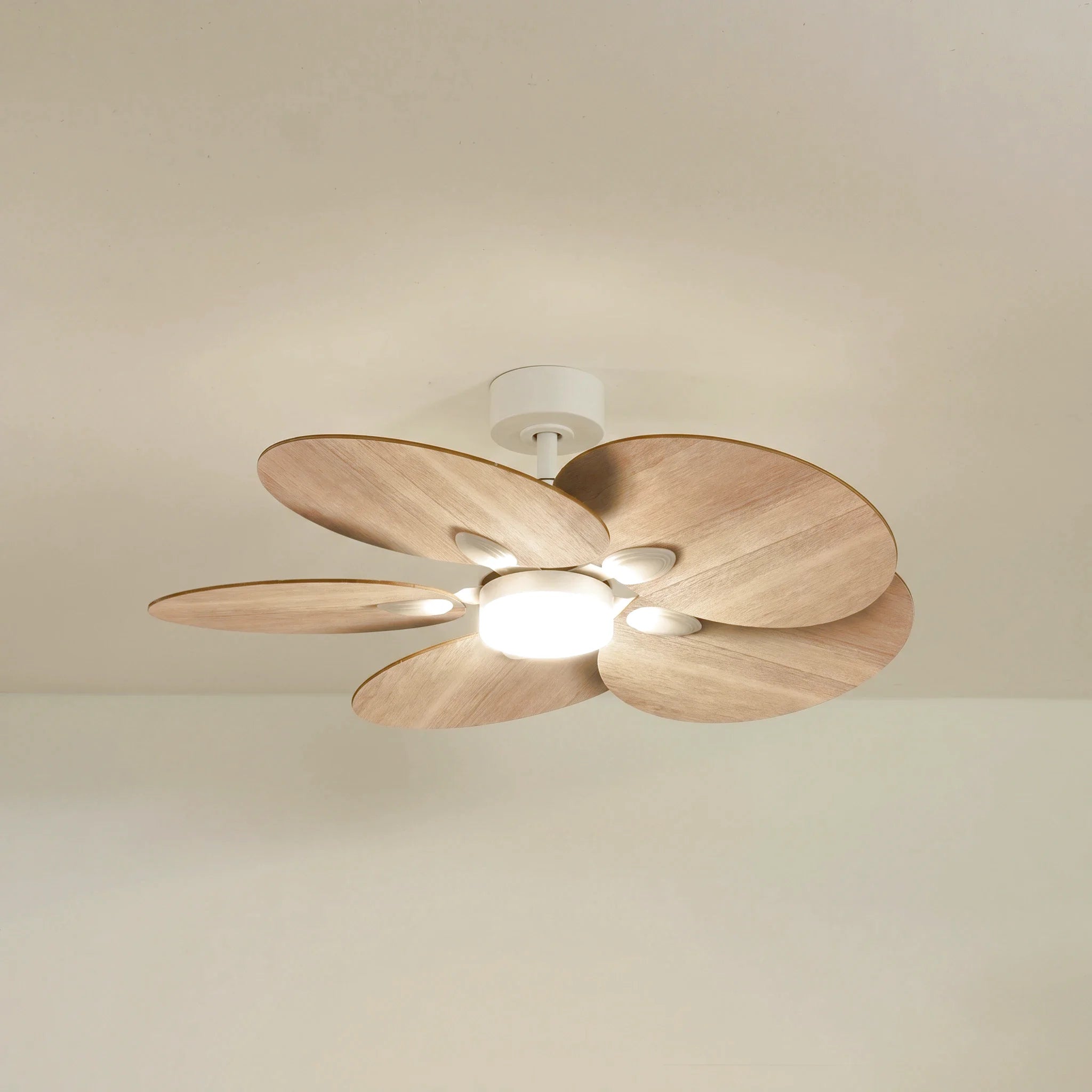 Lotus teinté Chêne | Ventilateur de plafond