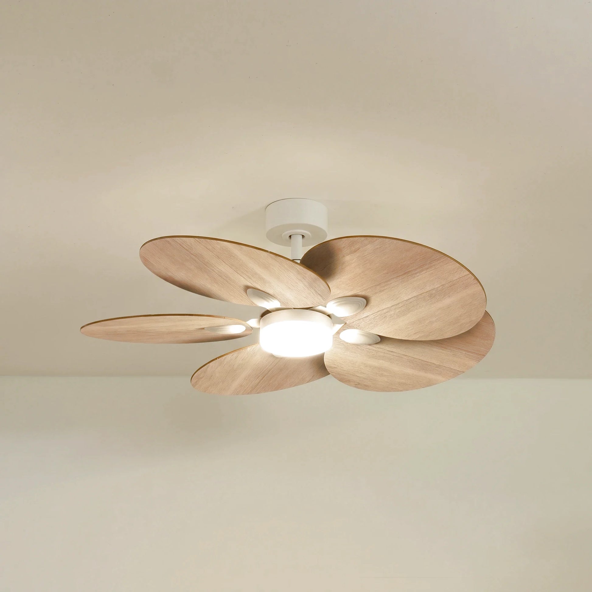 Lotus teinté Chêne | Ventilateur de plafond