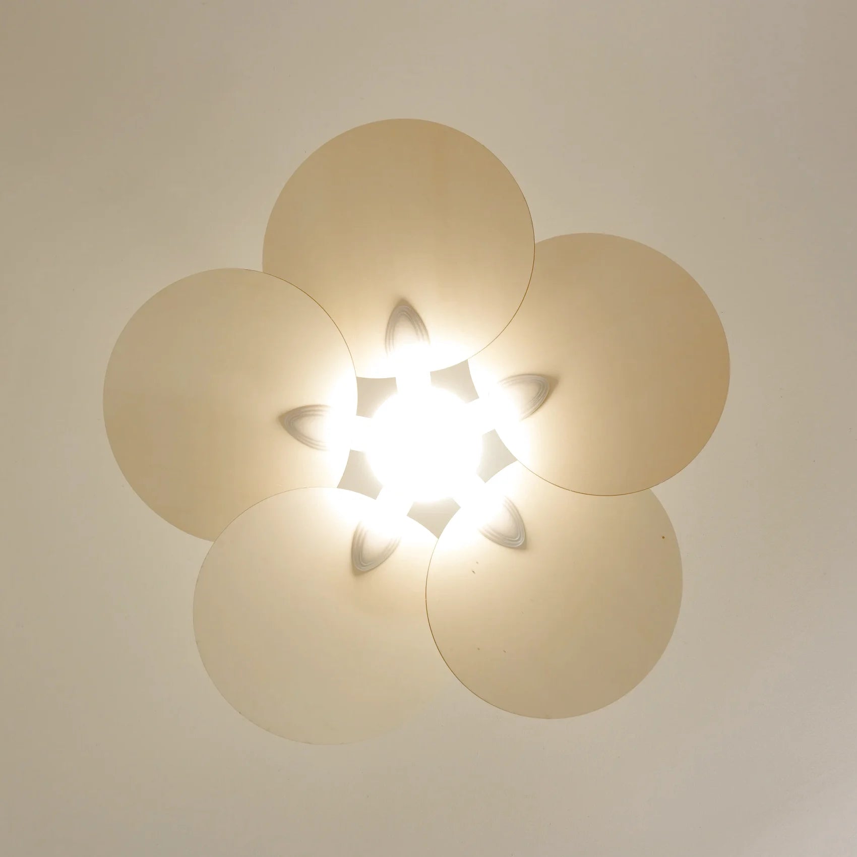 Lotus | Ventilateur de plafond