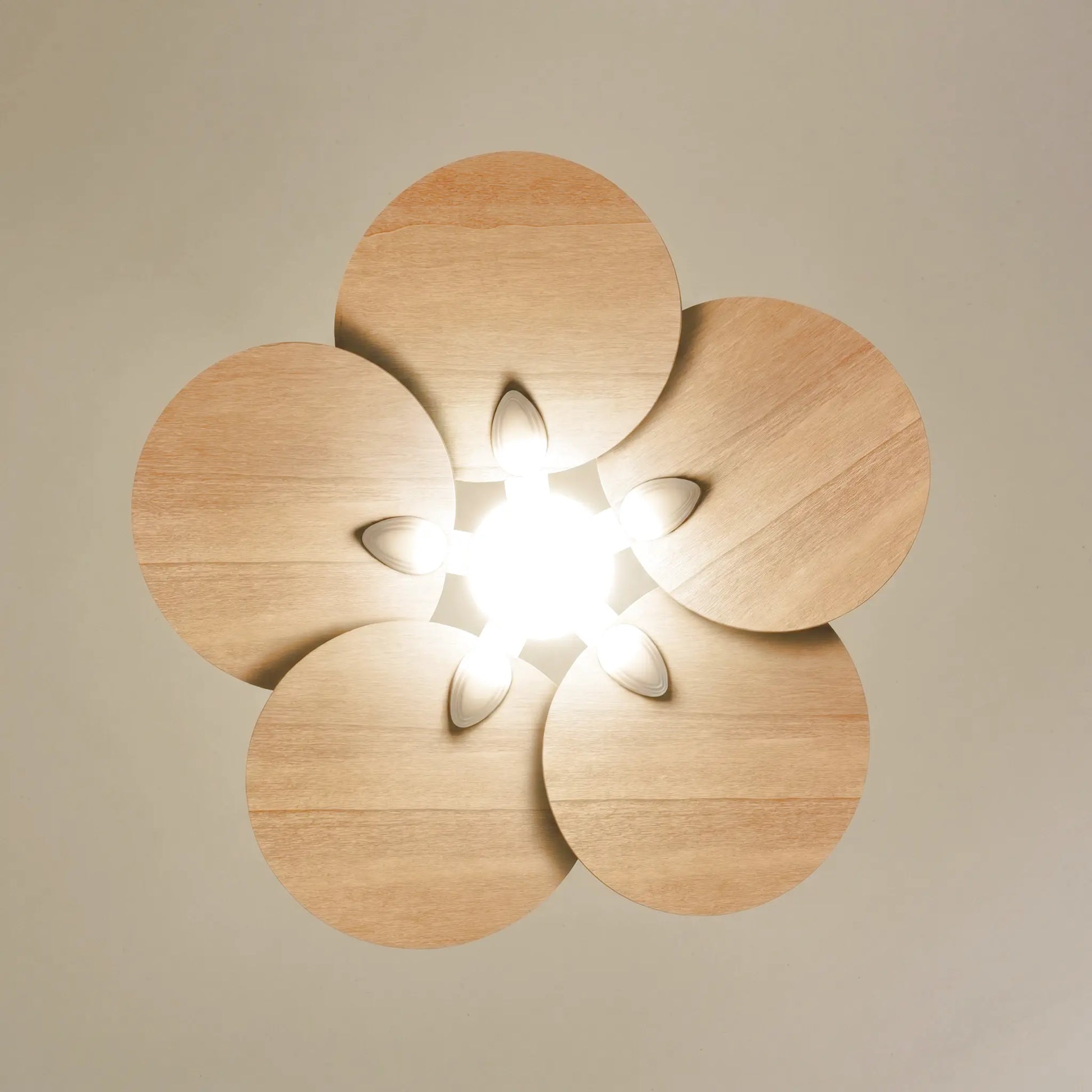 Lotus teinté Chêne | Ventilateur de plafond