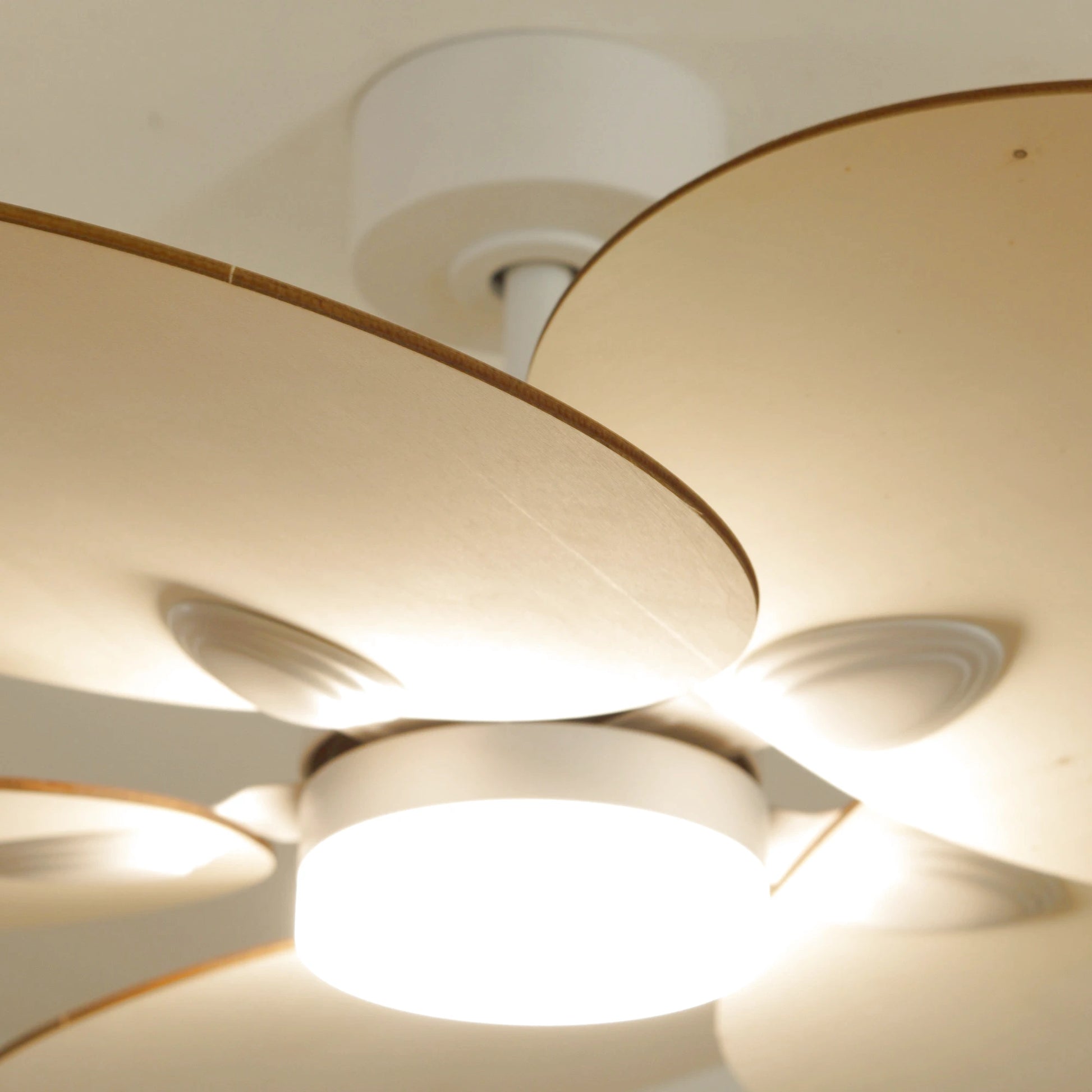 Lotus | Ventilateur de plafond