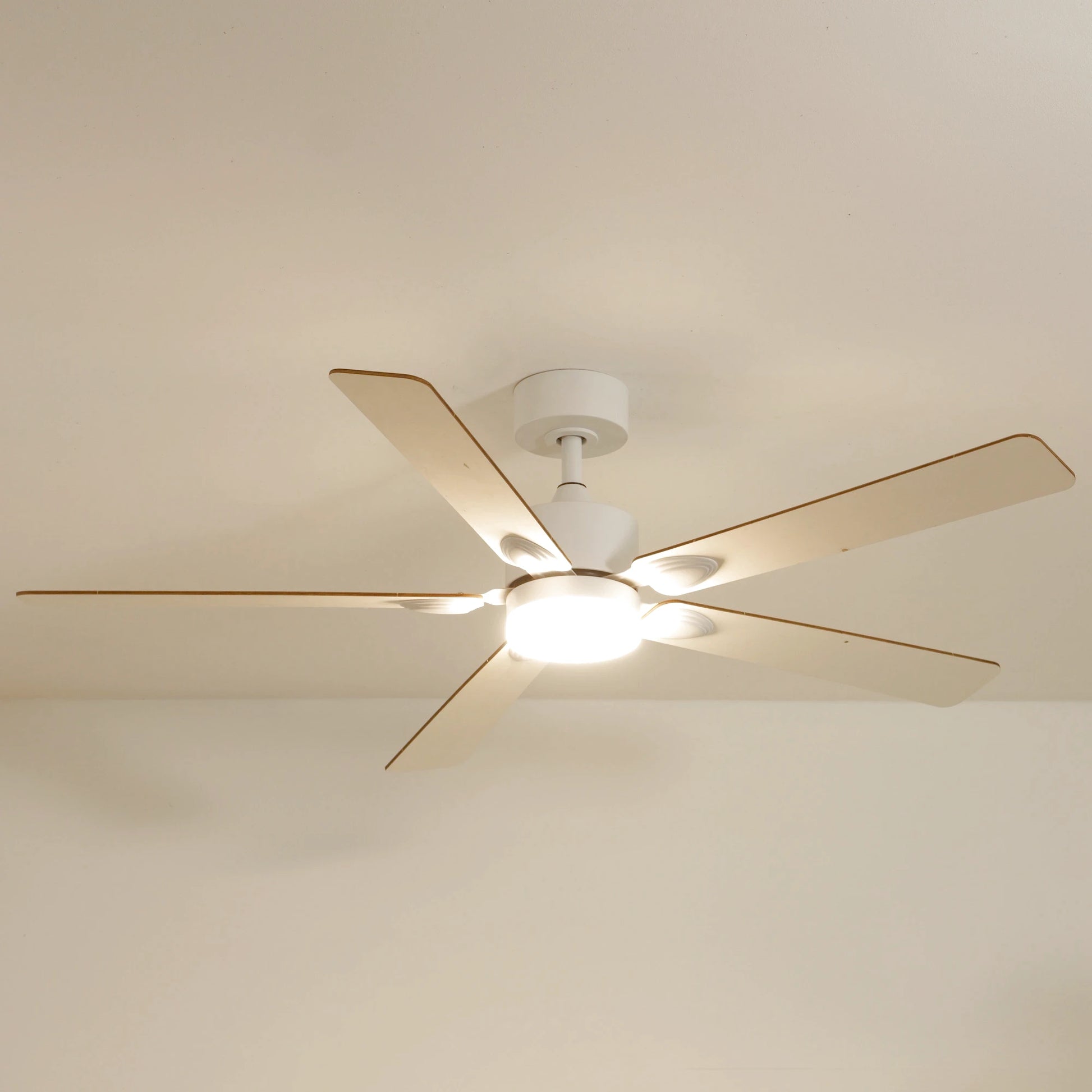 Mistral | Ventilateur de plafond