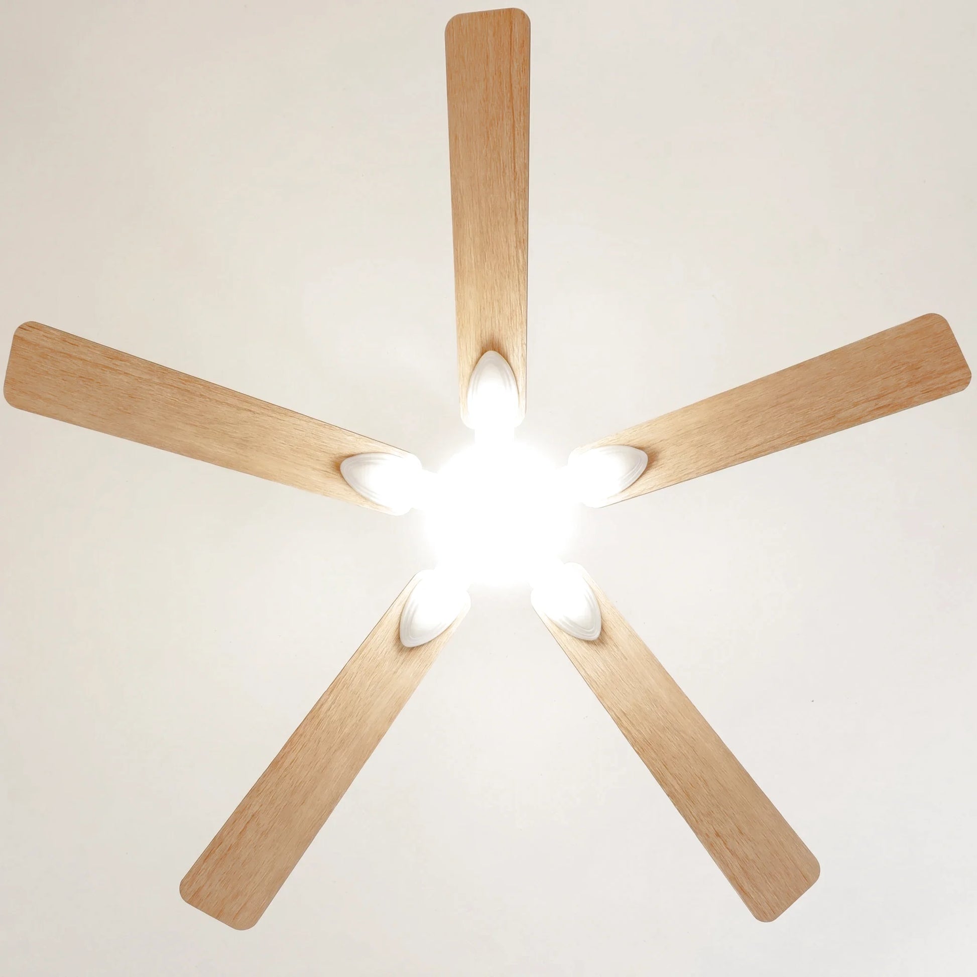 Mistral teinté Chêne | Ventilateur de plafond