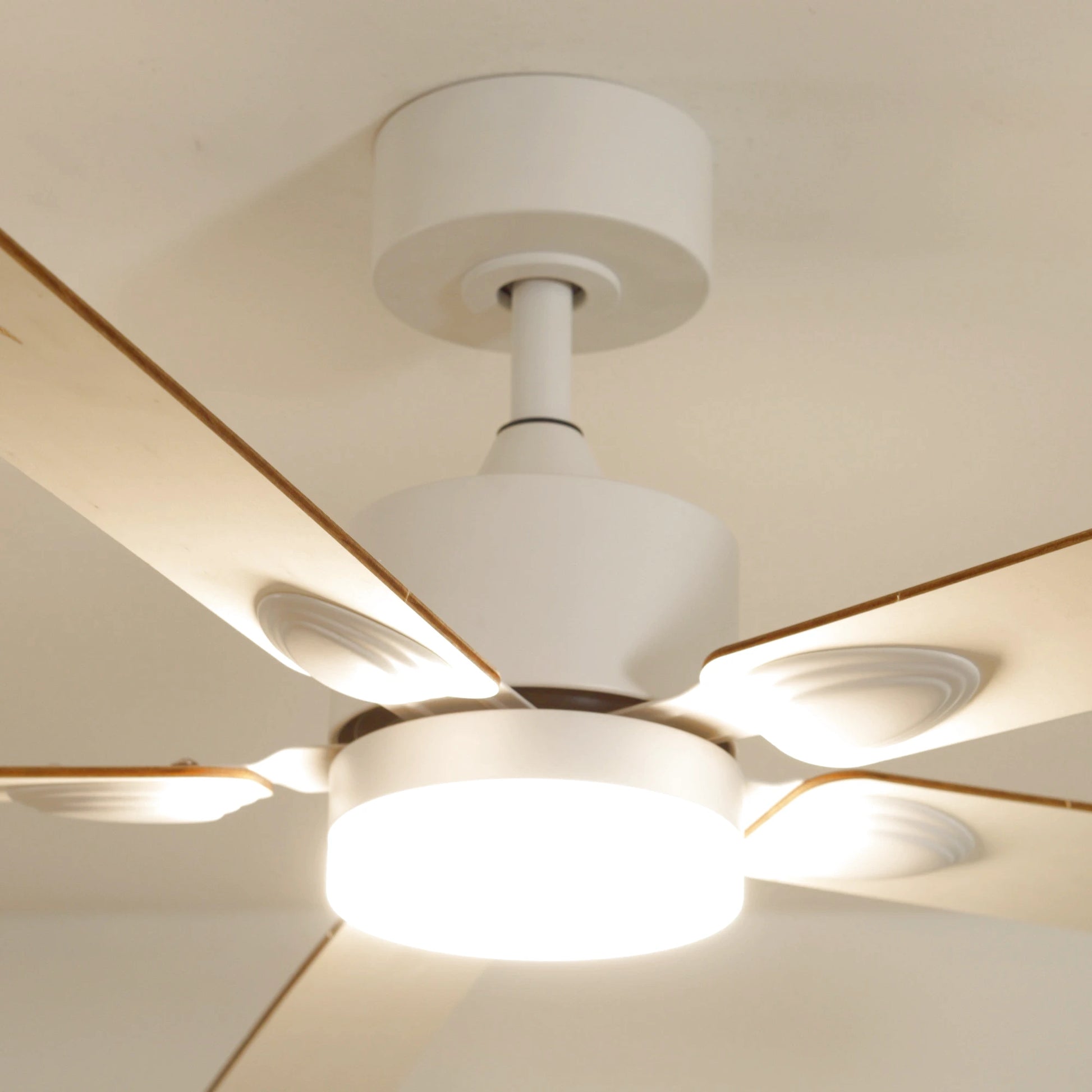 Mistral | Ventilateur de plafond