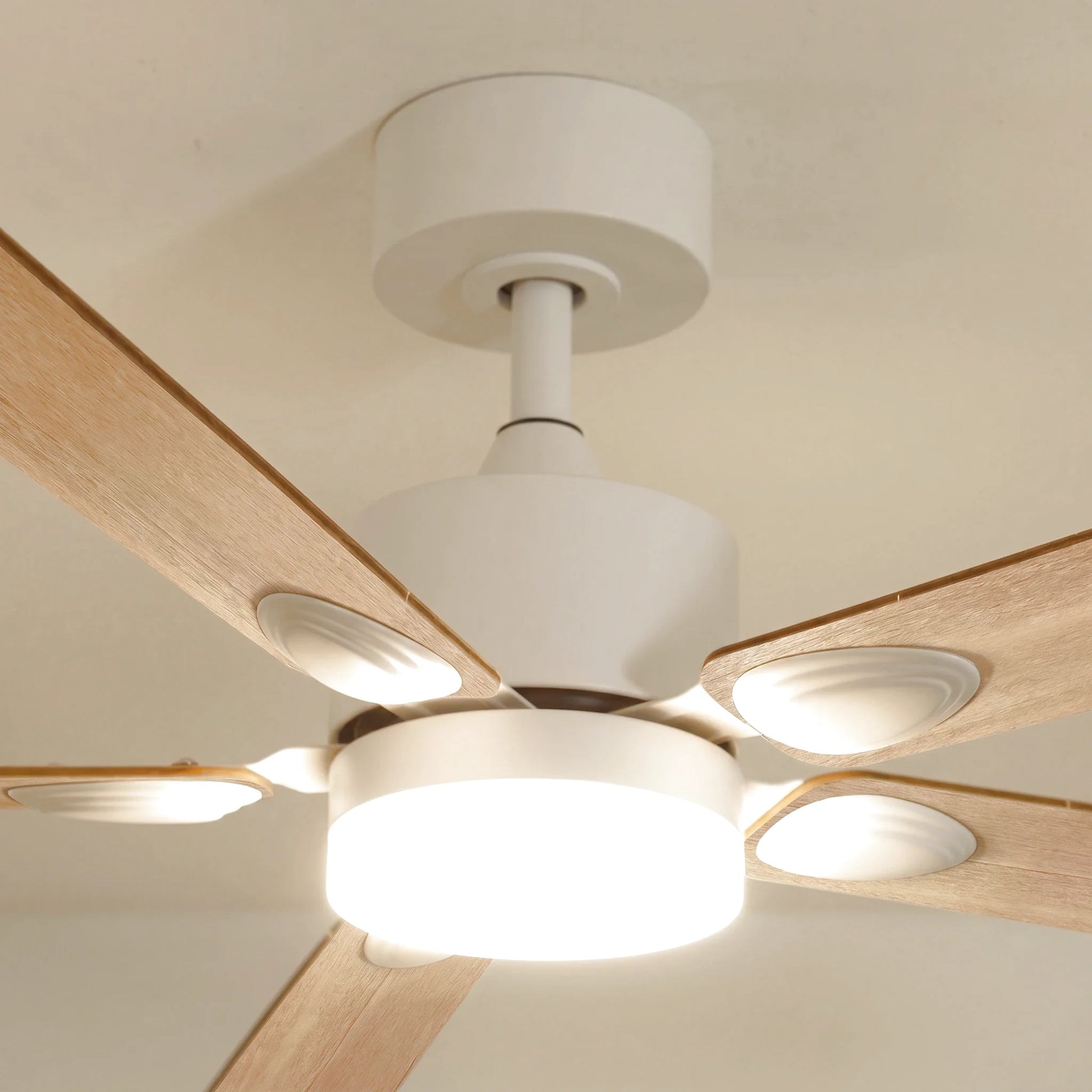 Mistral teinté Chêne | Ventilateur de plafond