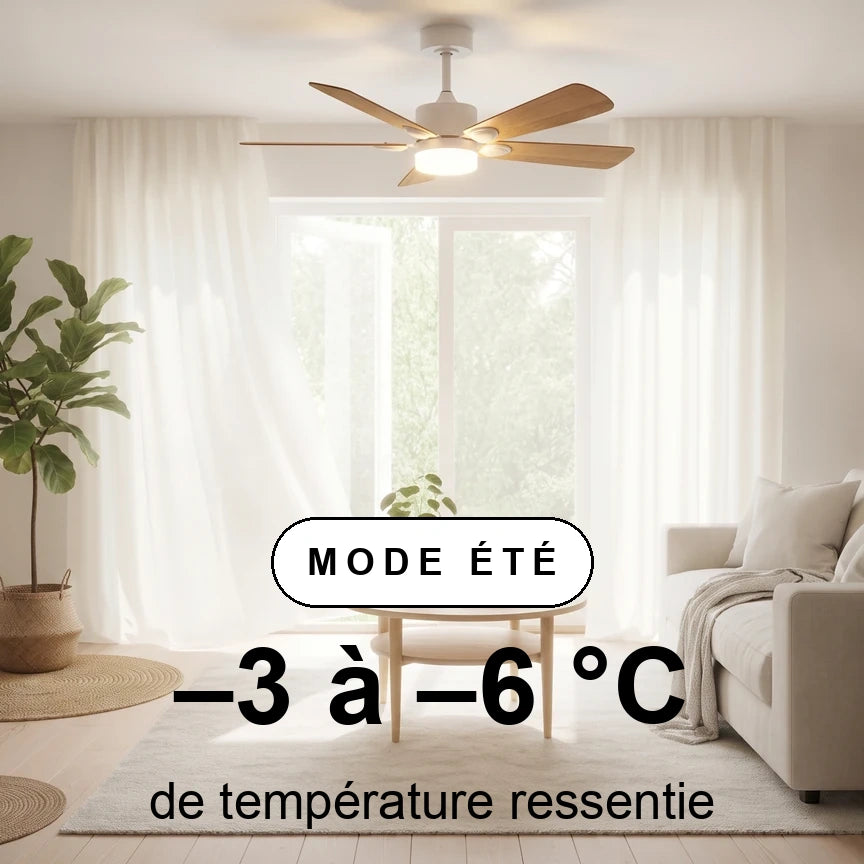 mistral scene ete
