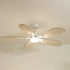 Plume | Ventilateur de plafond