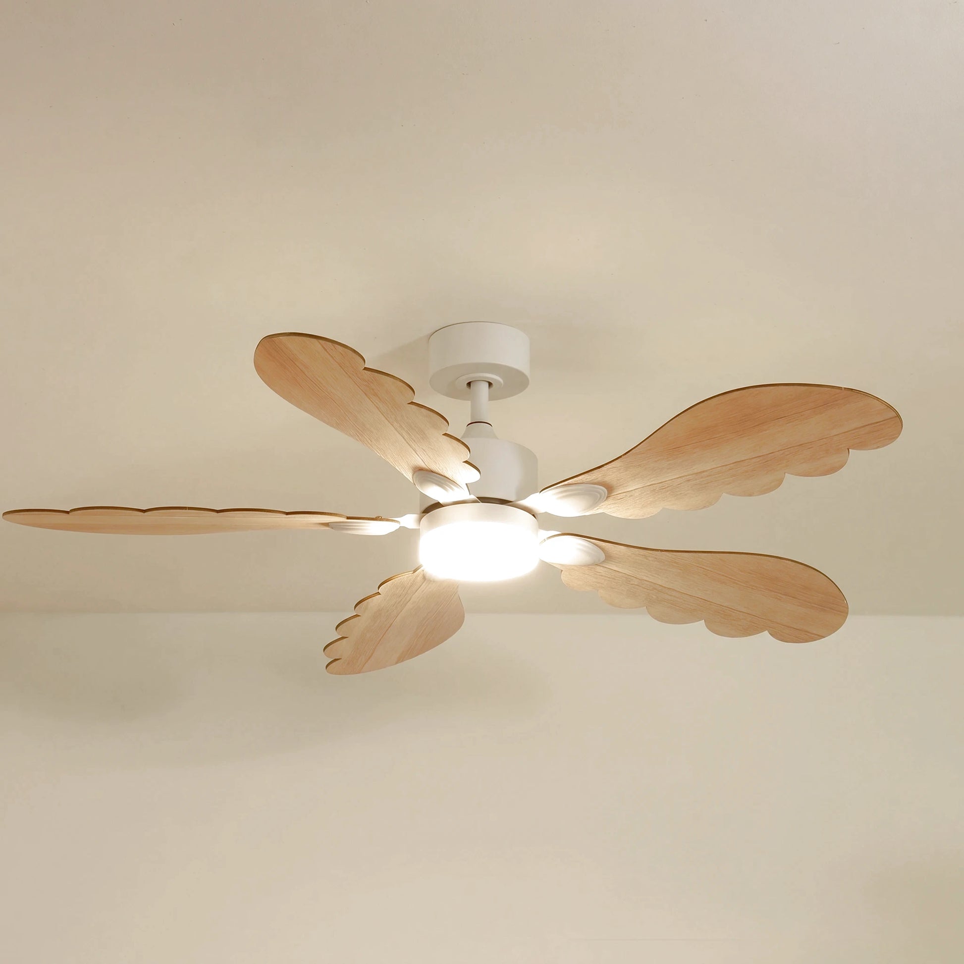 Plume teinté Chêne | Ventilateur de plafond