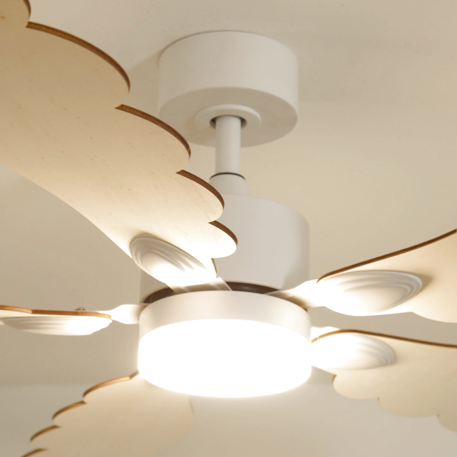 Plume | Ventilateur de plafond