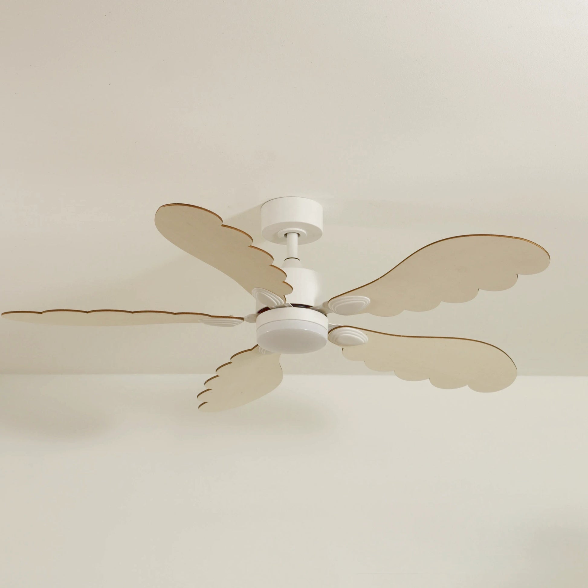 Plume | Ventilateur de plafond