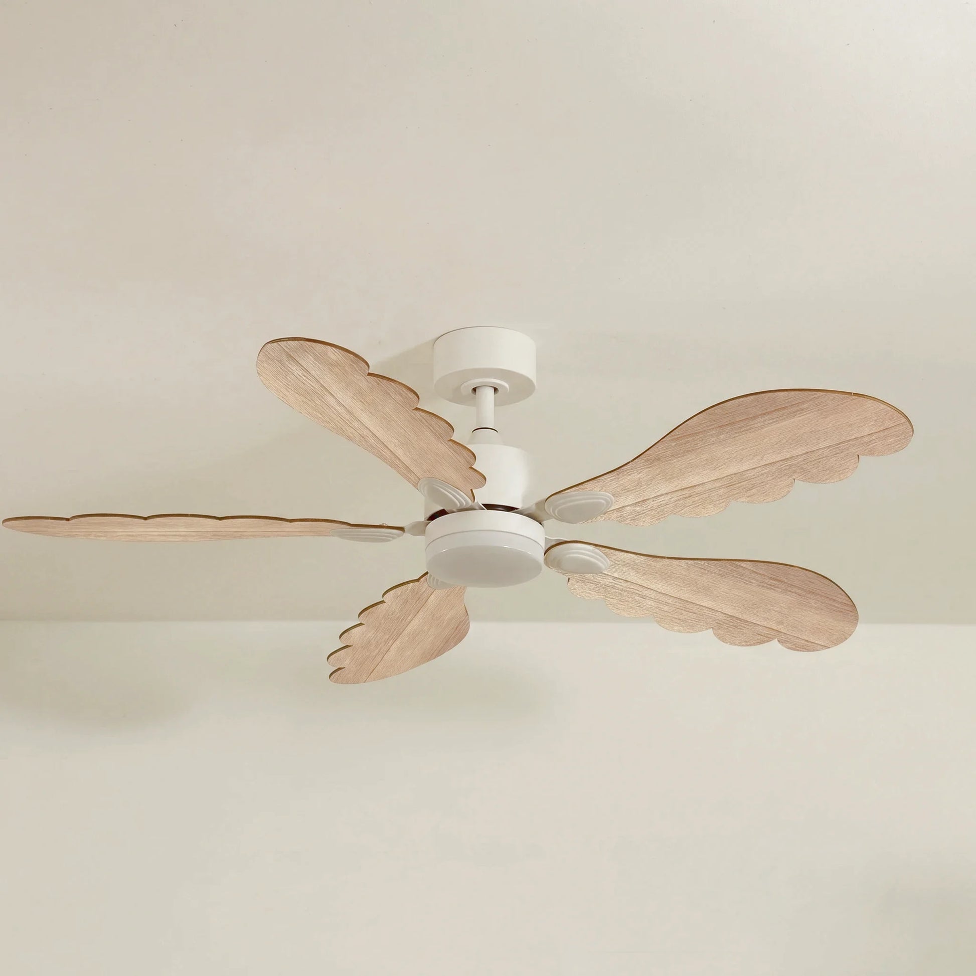 Plume teinté Chêne | Ventilateur de plafond