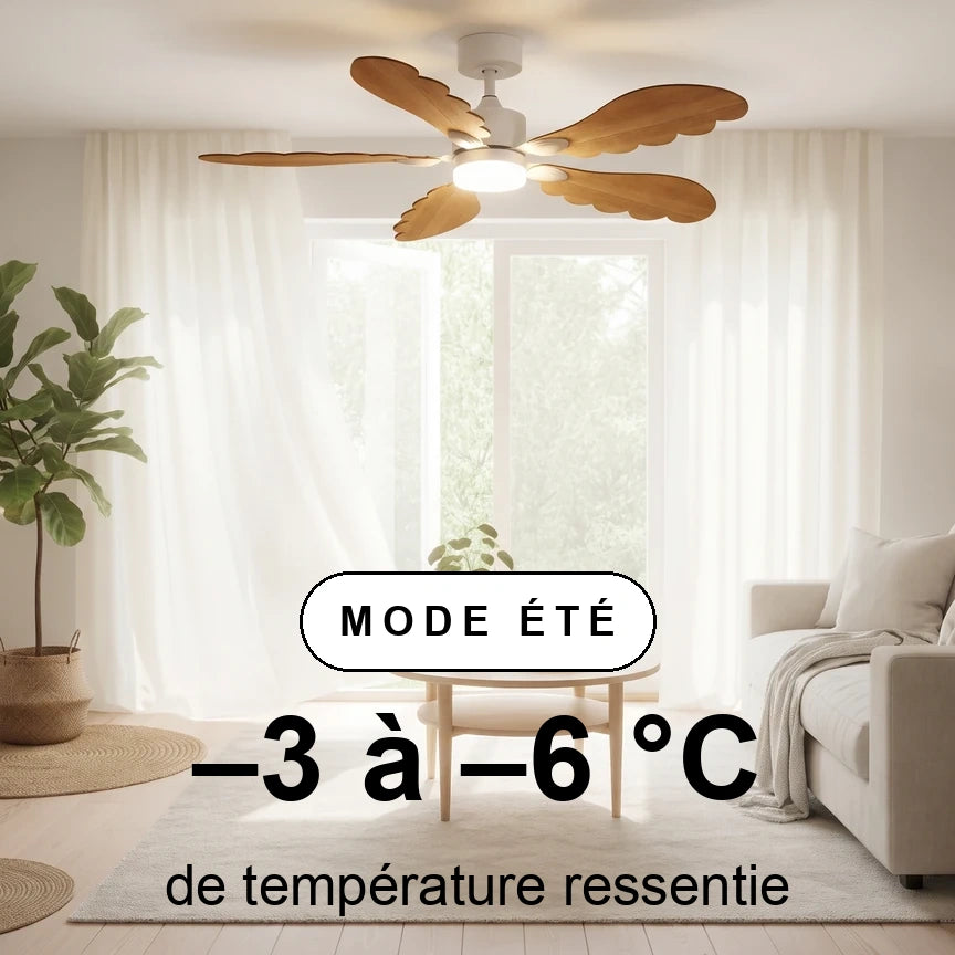 plume scene ete