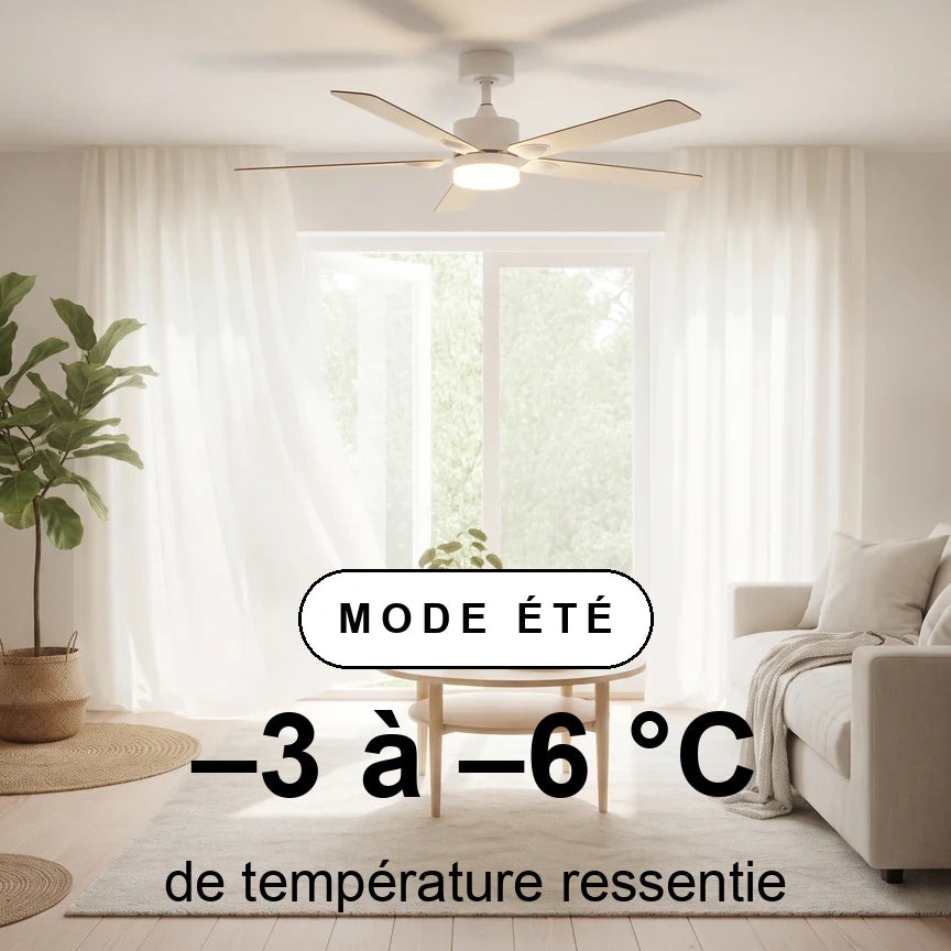 mistral scene ete
