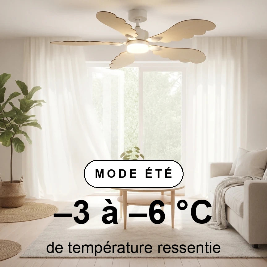 plume scene ete